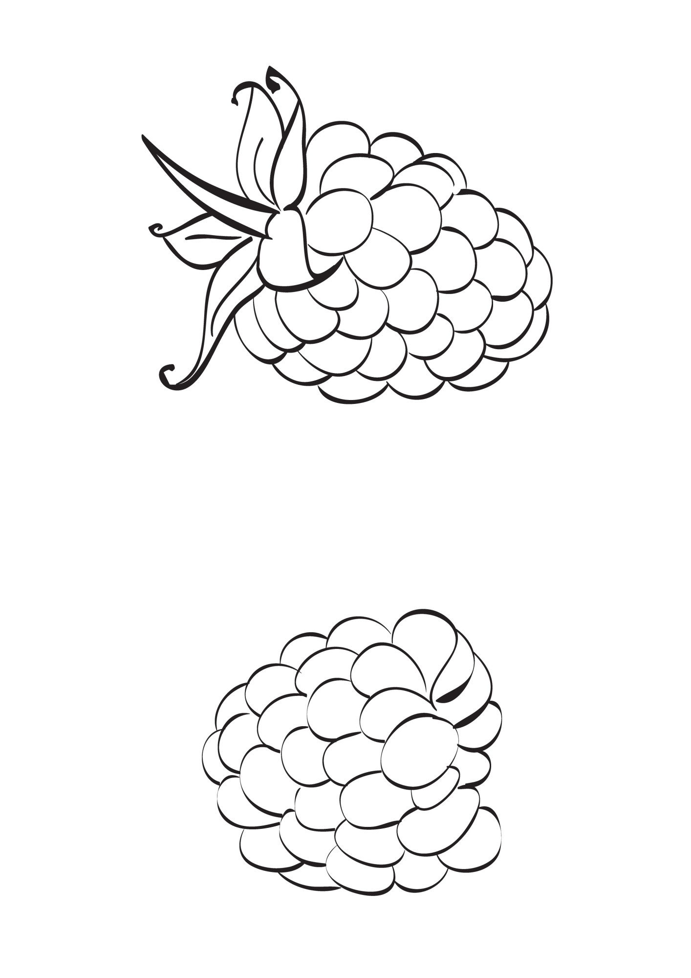 Раскраска для детей: спелые ягоды малины