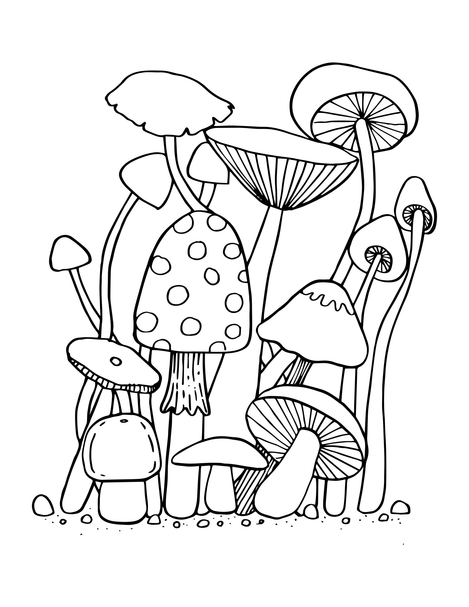 Раскраска для детей: разные грибы