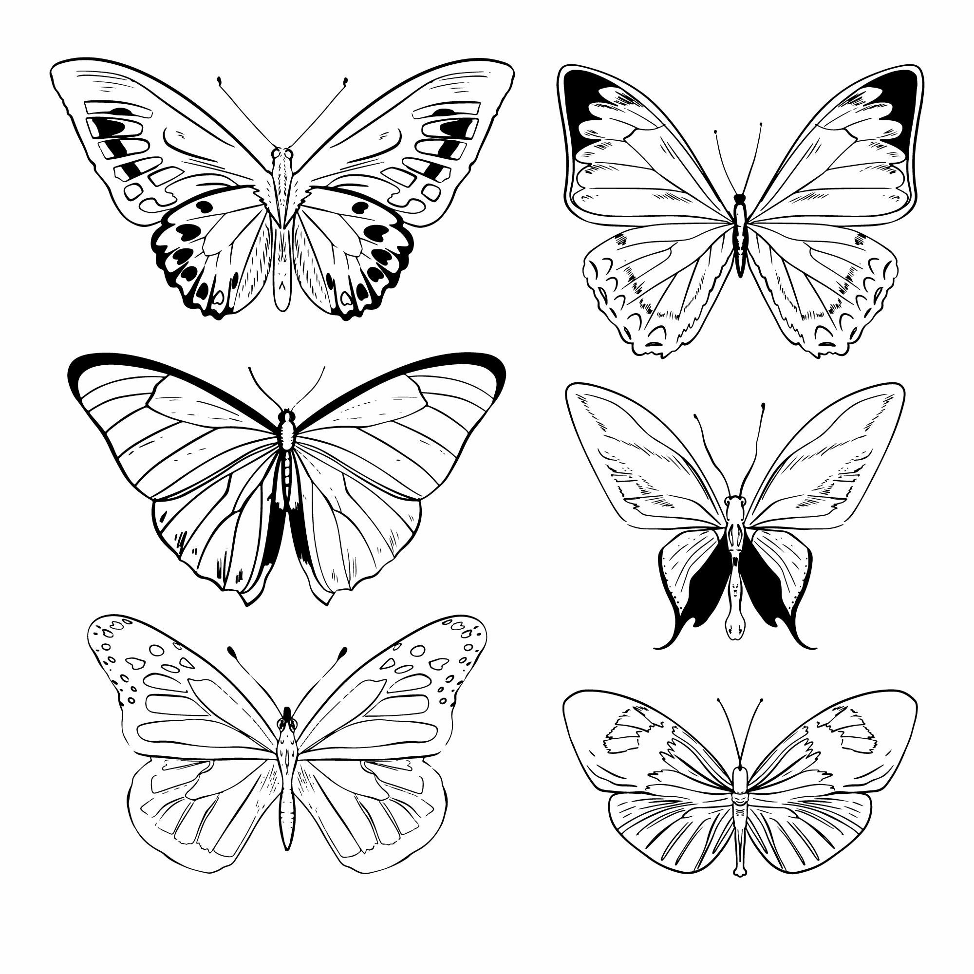 Раскраска для детей: коллекция рисунков бабочки