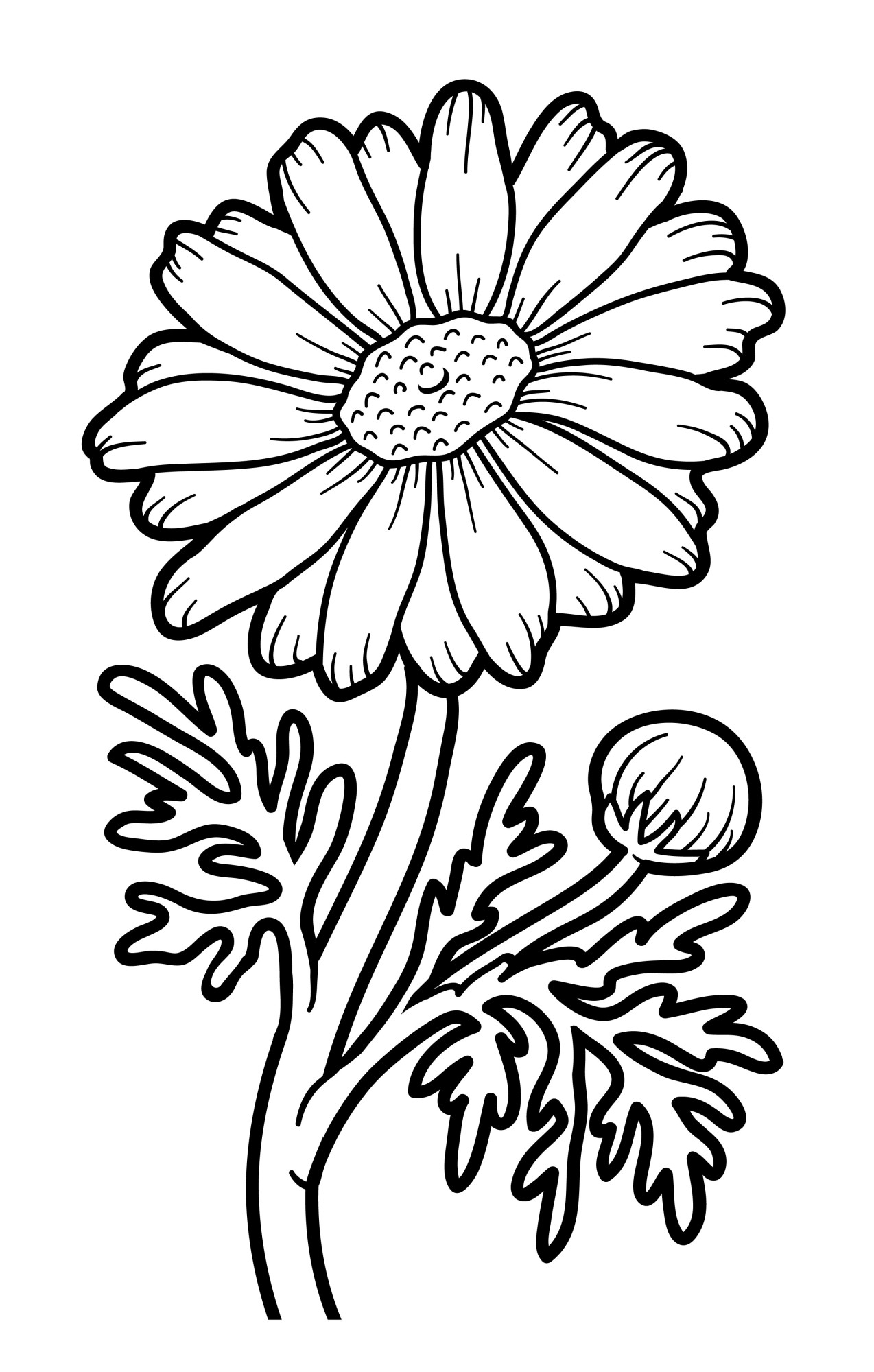 Раскраска для детей: большой цветок ромашки