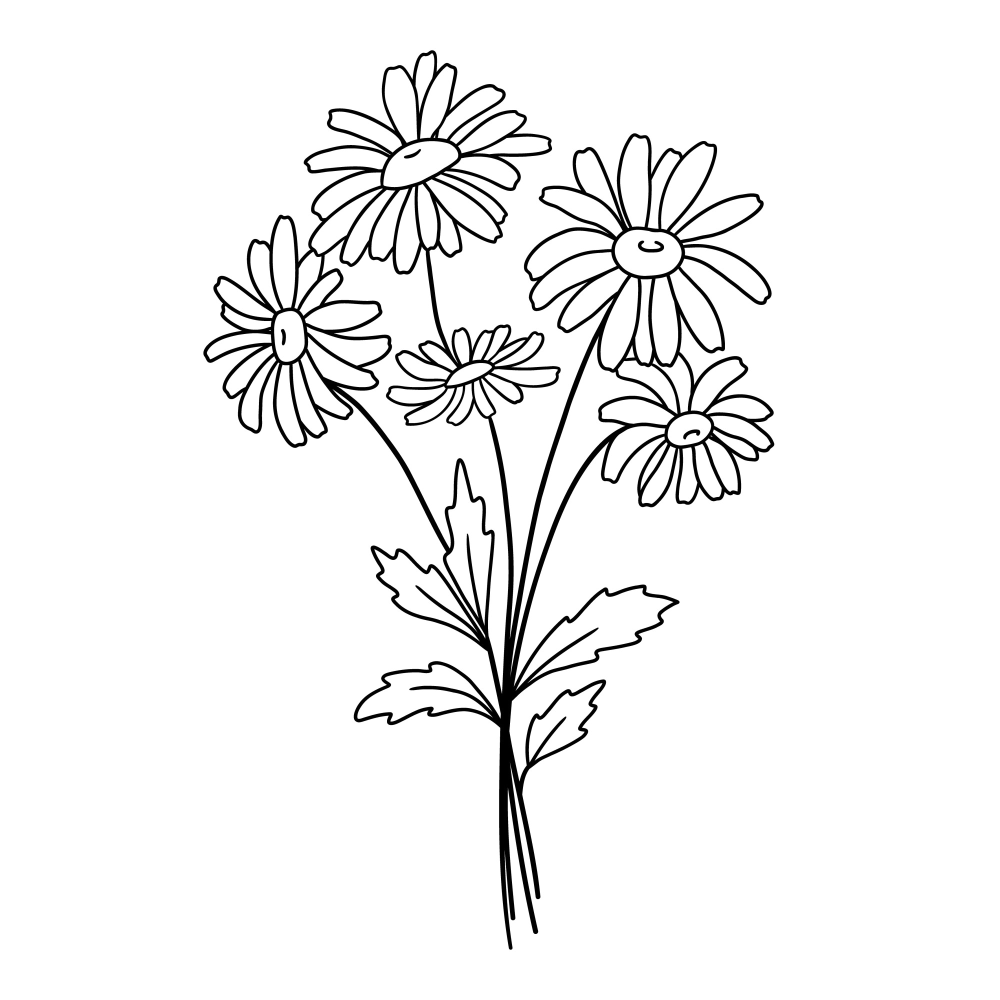 Раскраска для детей: букет маленькие цветы ромашки