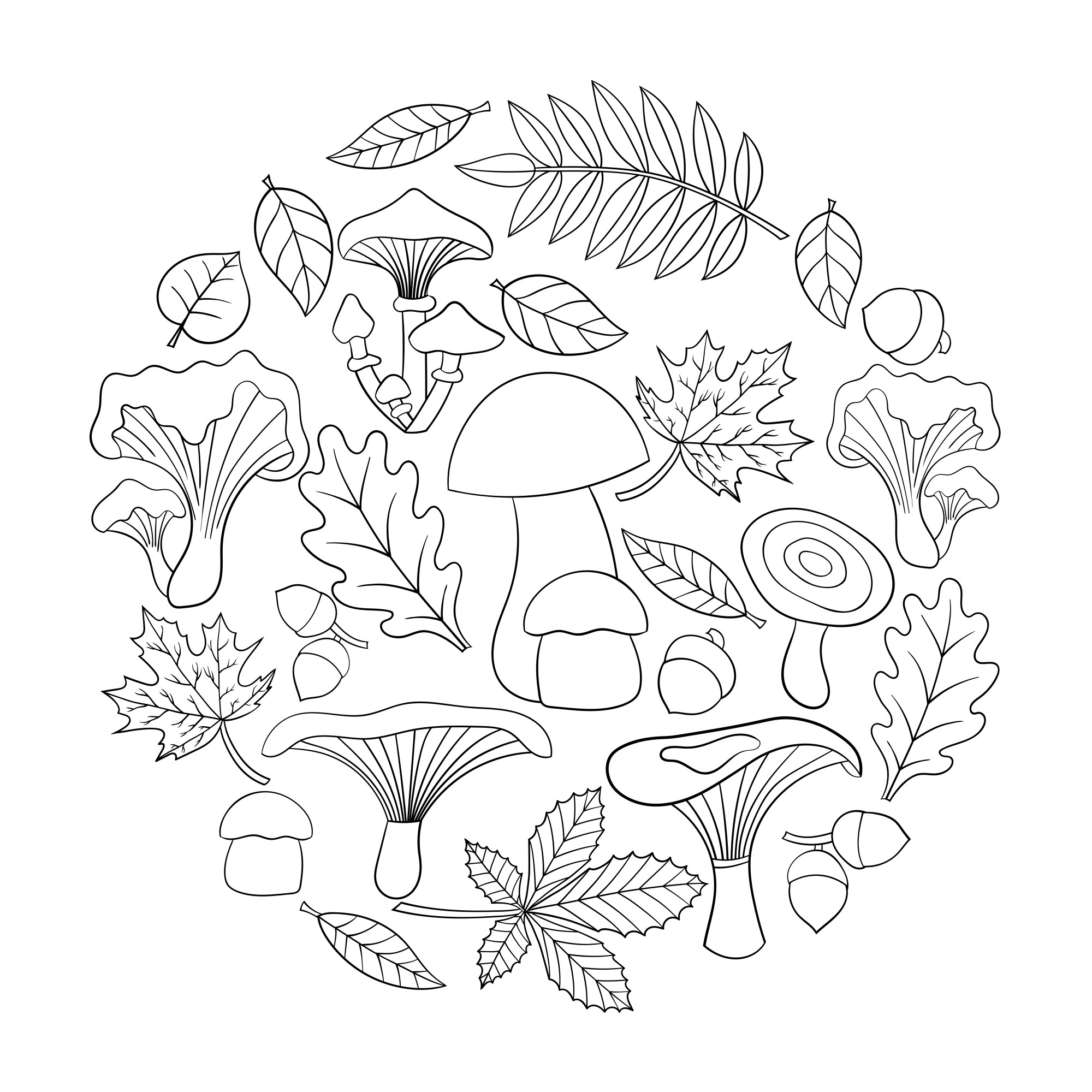 Раскраска для детей: грибы для поделки с осенними листьями