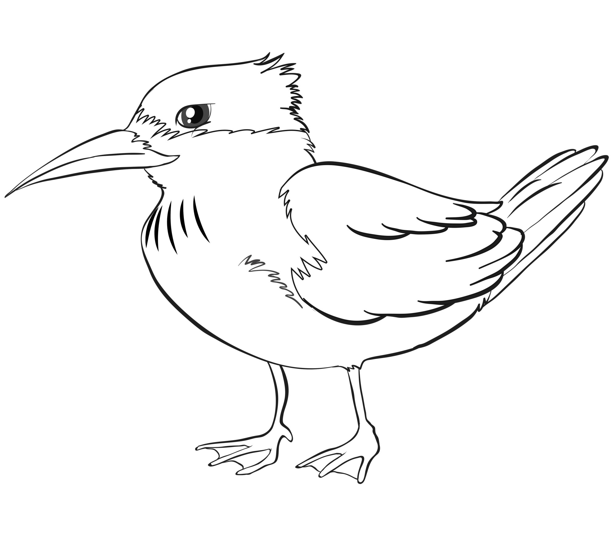 Раскраска для детей: дикая птичка с длинным острым клювом