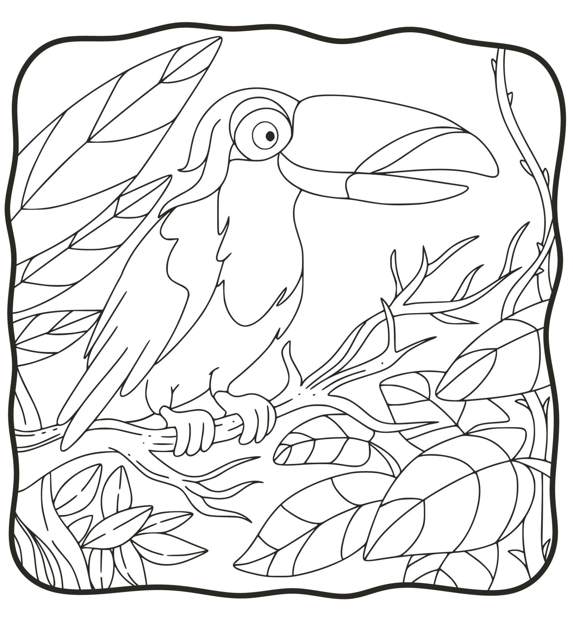 Раскраска для детей: тукан на ветке тропического дерева