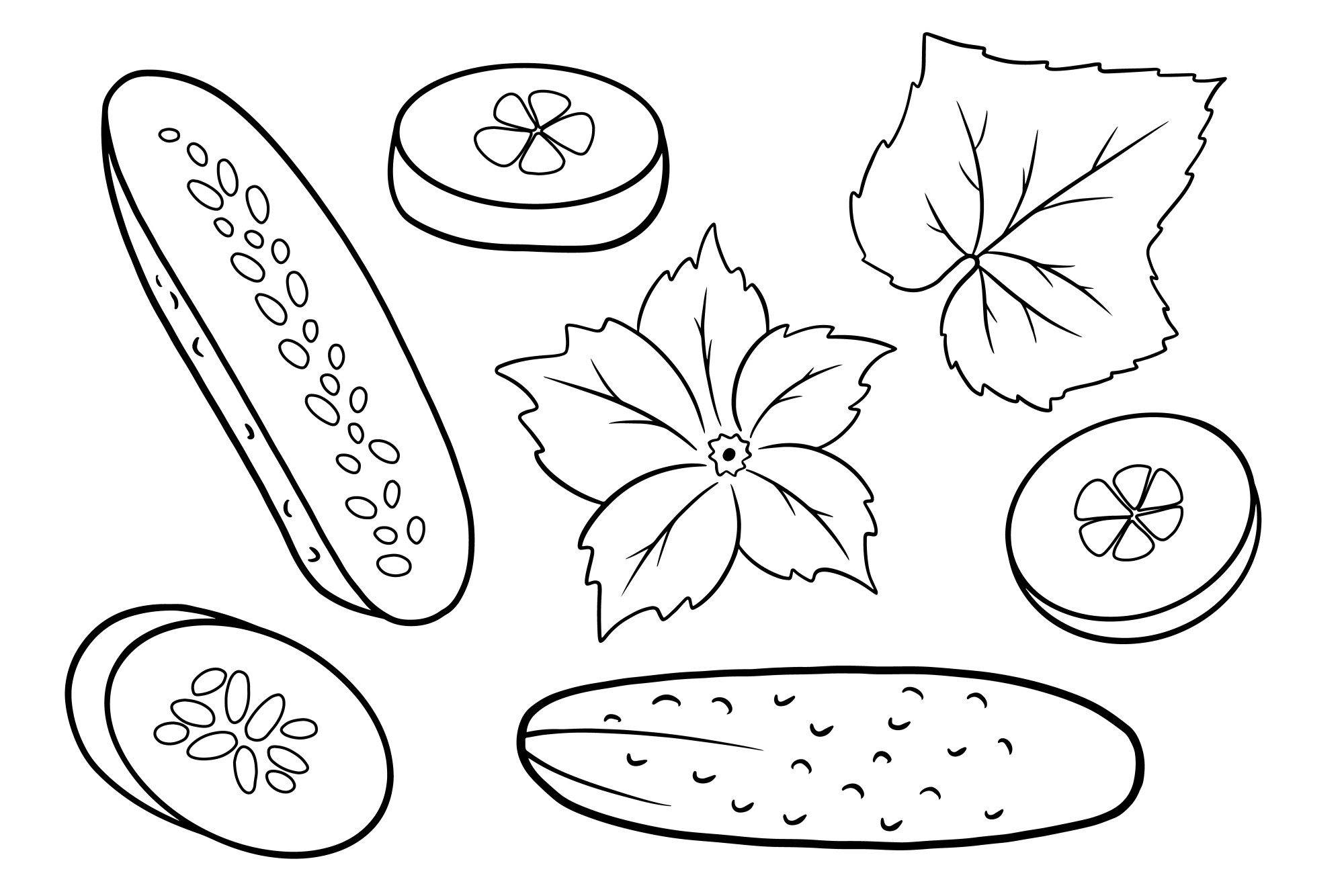 Раскраска для детей: огурец с листьями и цветком