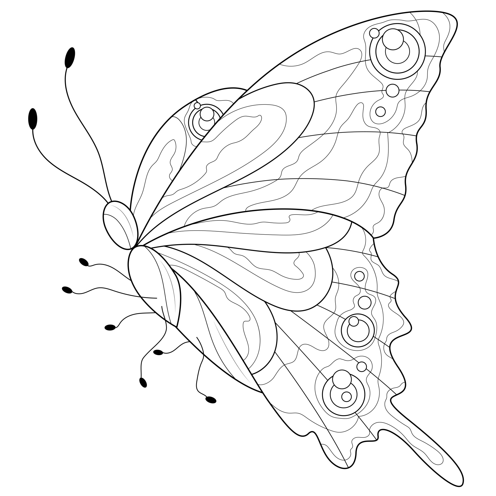 Раскраска для детей: узоры бабочки