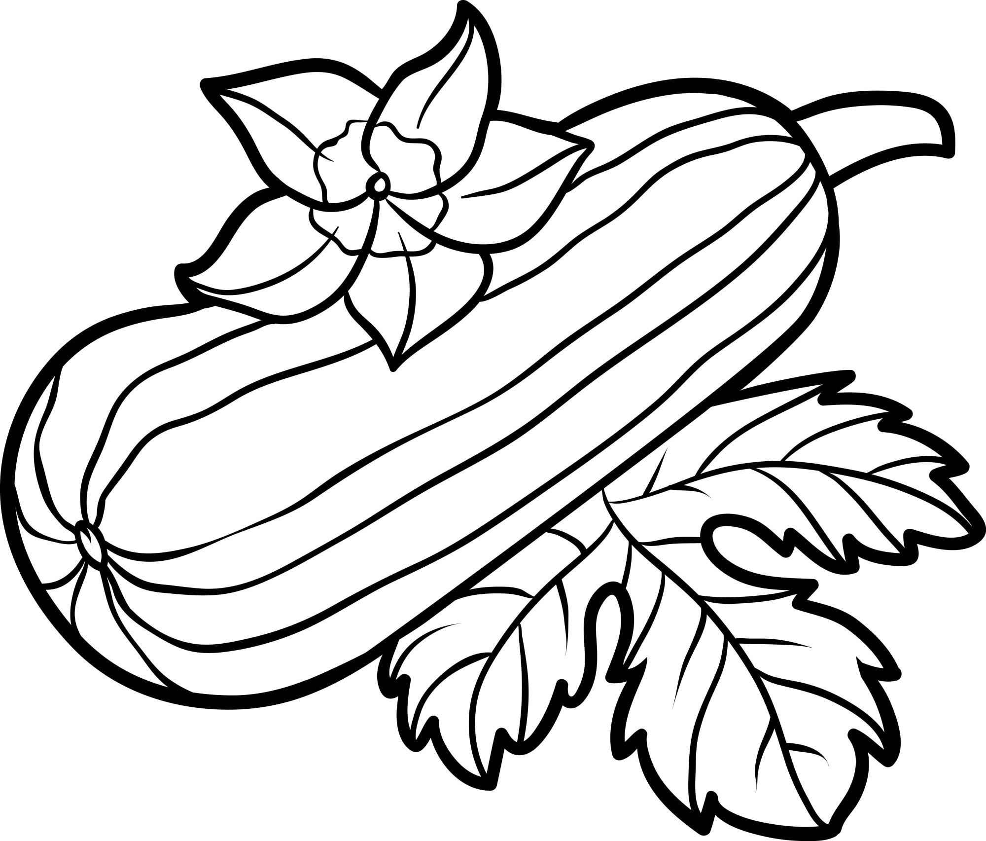 Раскраска для детей: кабачок на листьях в саду