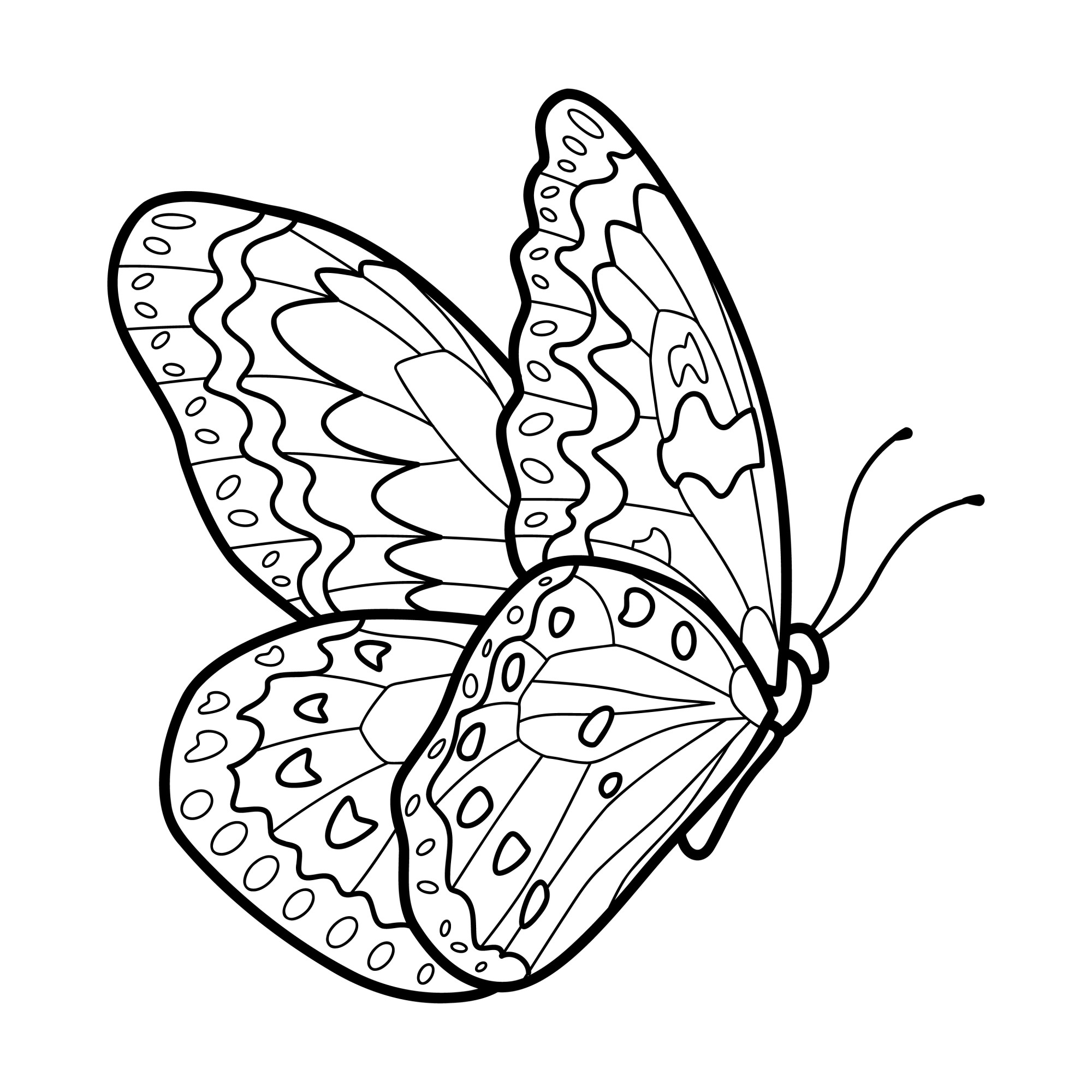 Раскраска для детей: взмах крыльев бабочки