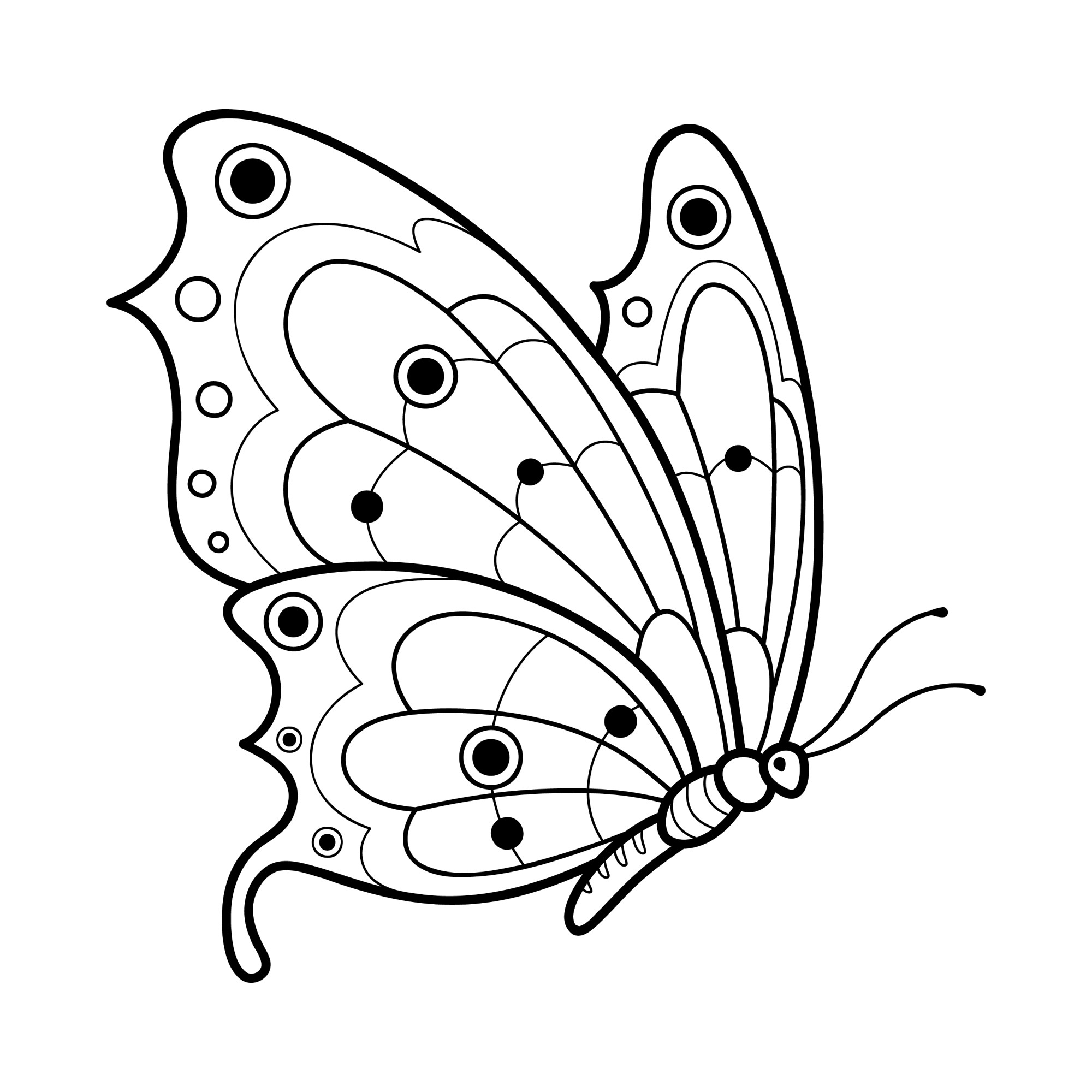 Раскраска для детей: взмах очаровательных крыльев бабочки