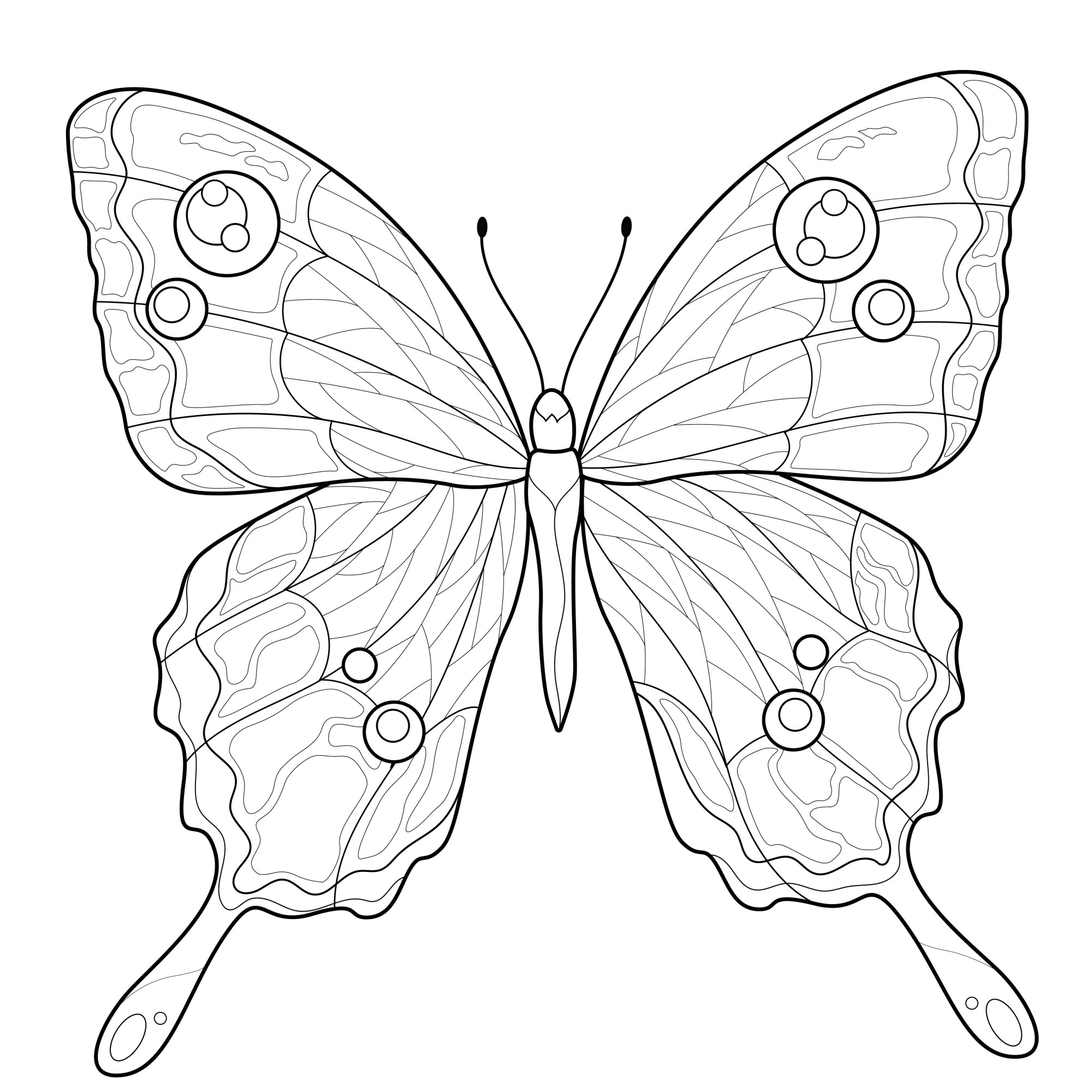 Раскраска для детей: прекрасные крылья бабочки