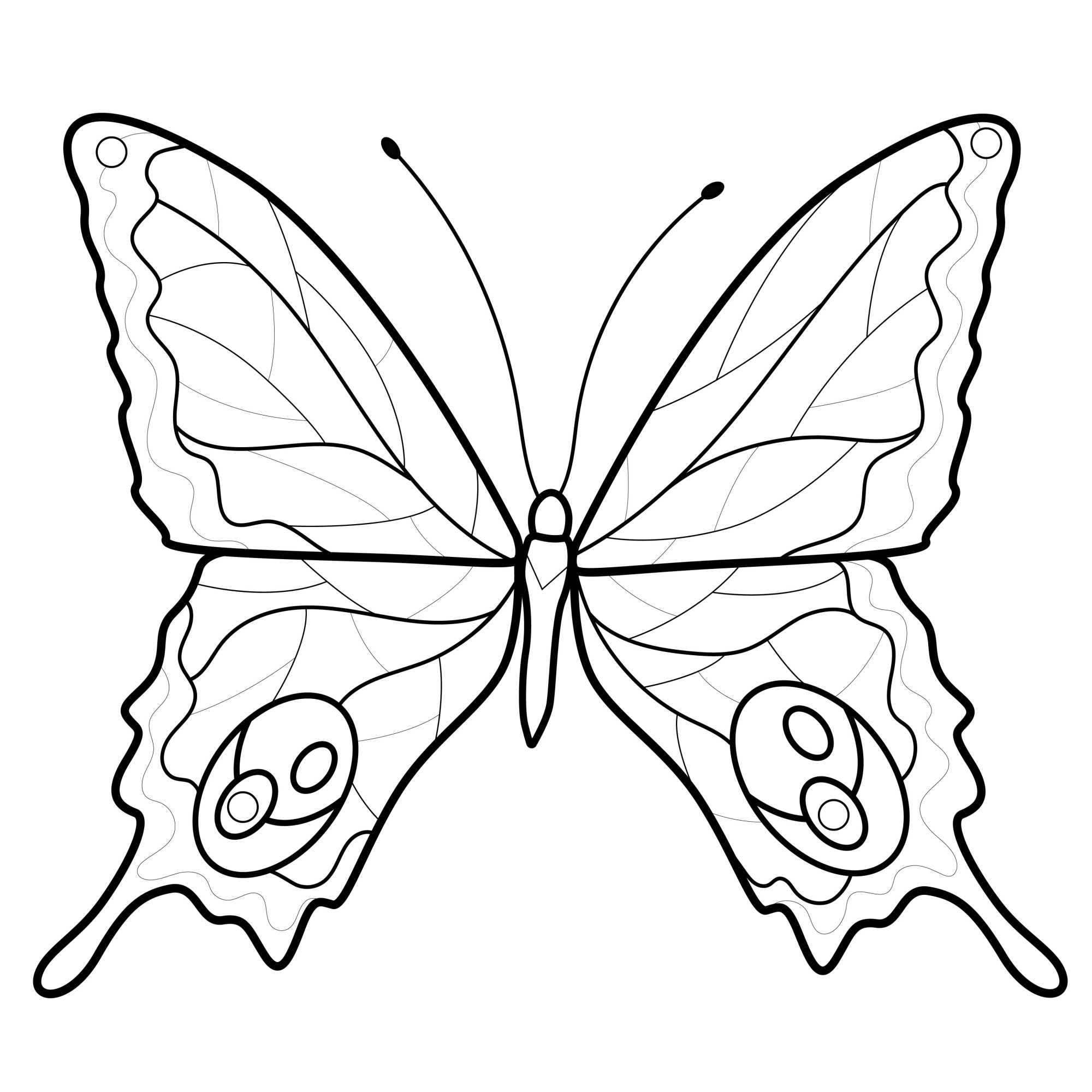 Раскраска для детей: прекрасная бабочка с длинными усиками