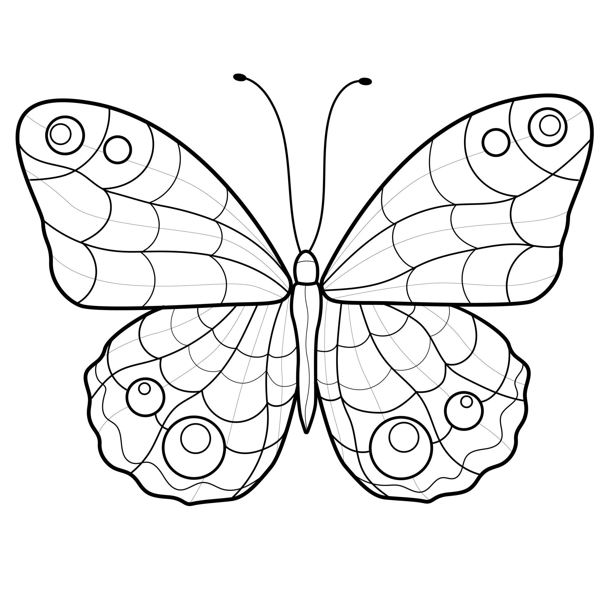 Раскраска для детей: красивая бабочка