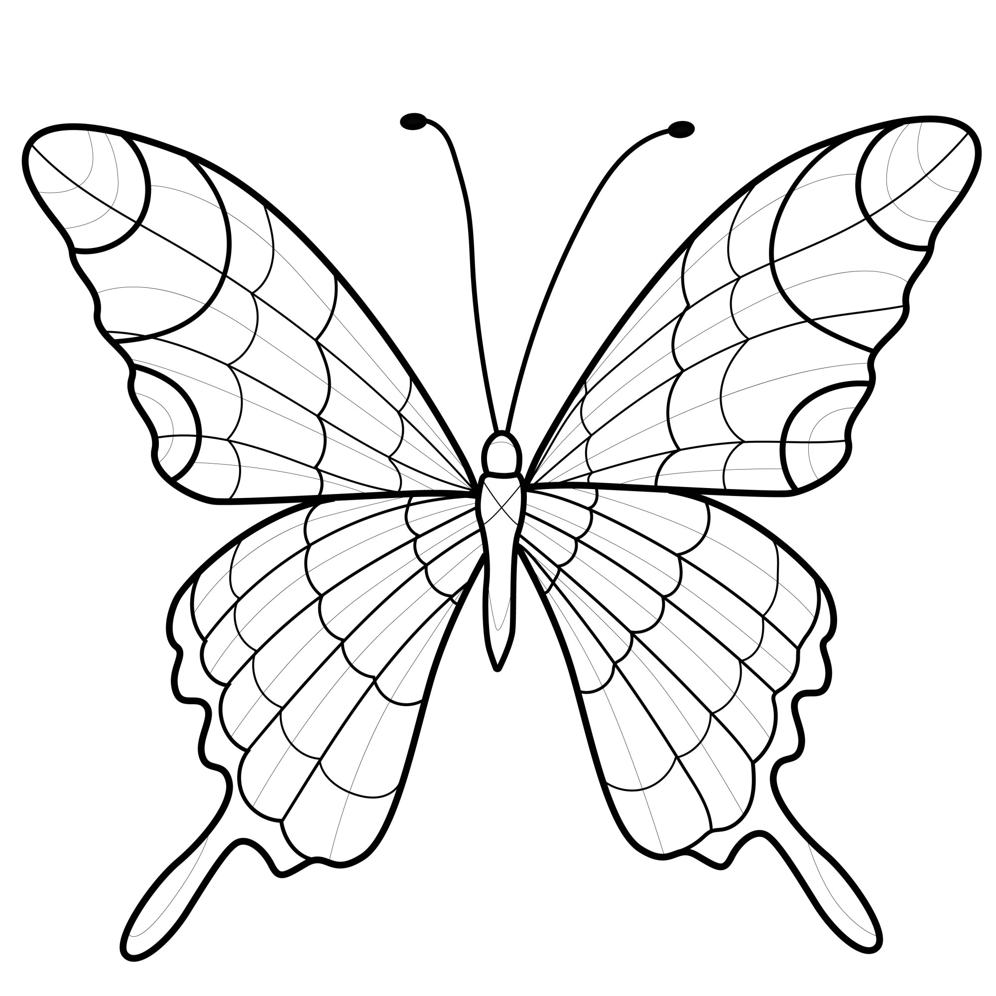 Раскраска для детей: красочная бабочка