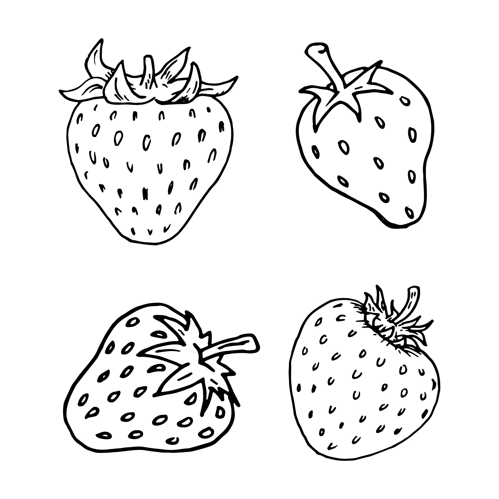 Раскраска для детей: ягоды клубники и земляники