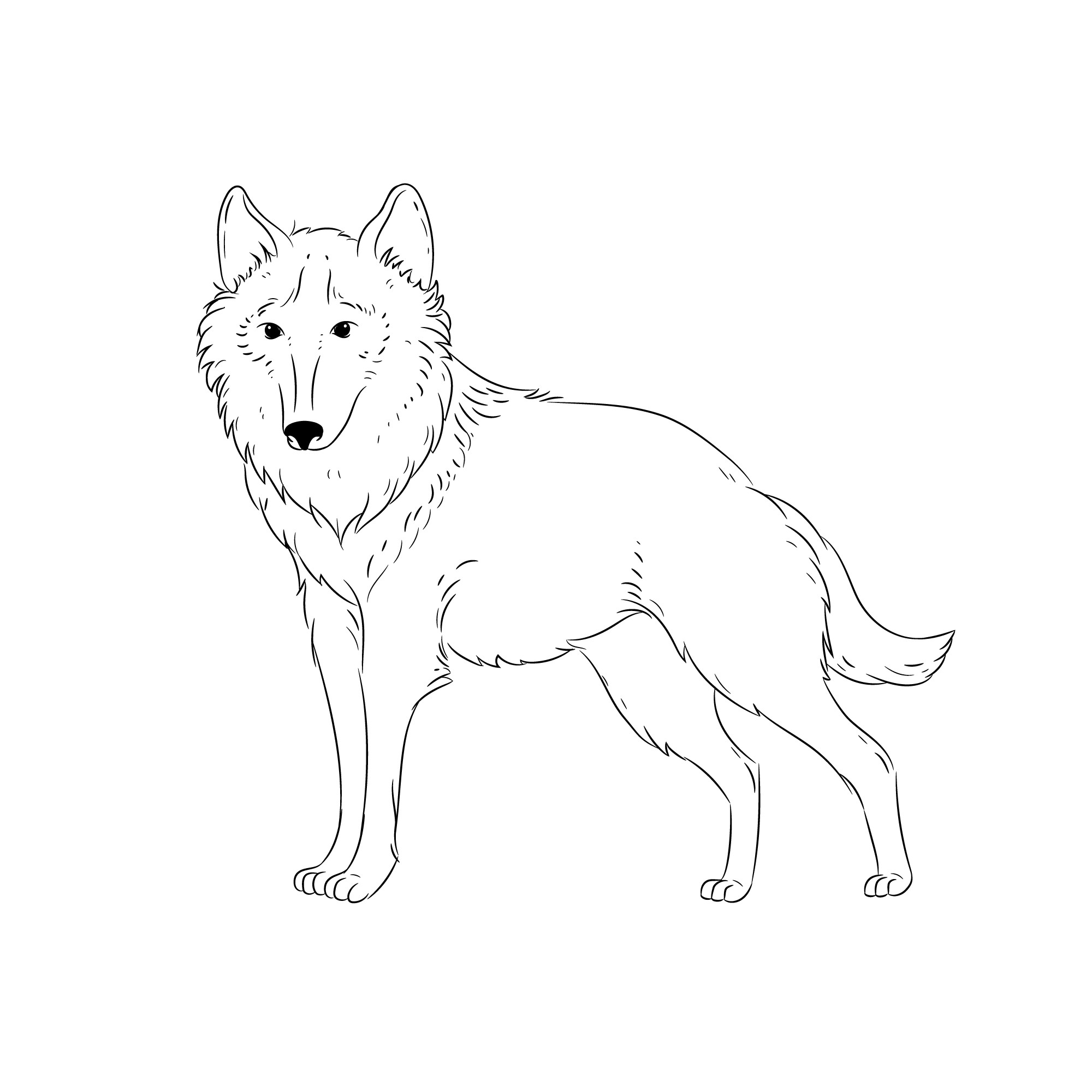 Раскраска для детей: дружелюбный волк