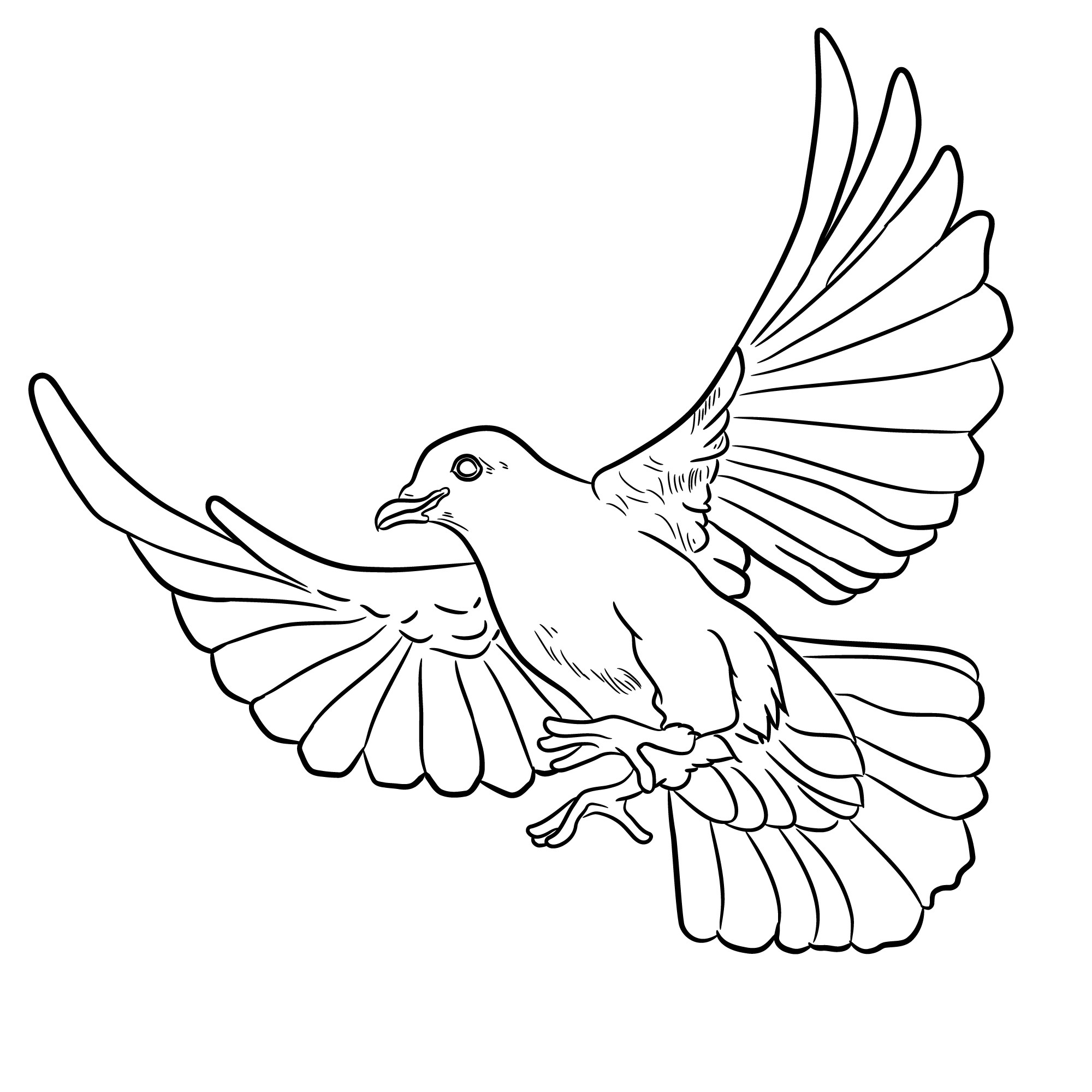Раскраска для детей: голубь в полете с распростертыми крыльями