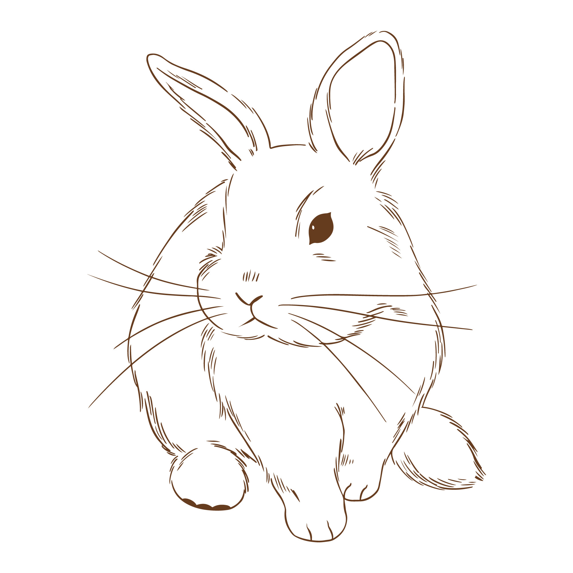 Раскраска для детей: милый пушистый кролик