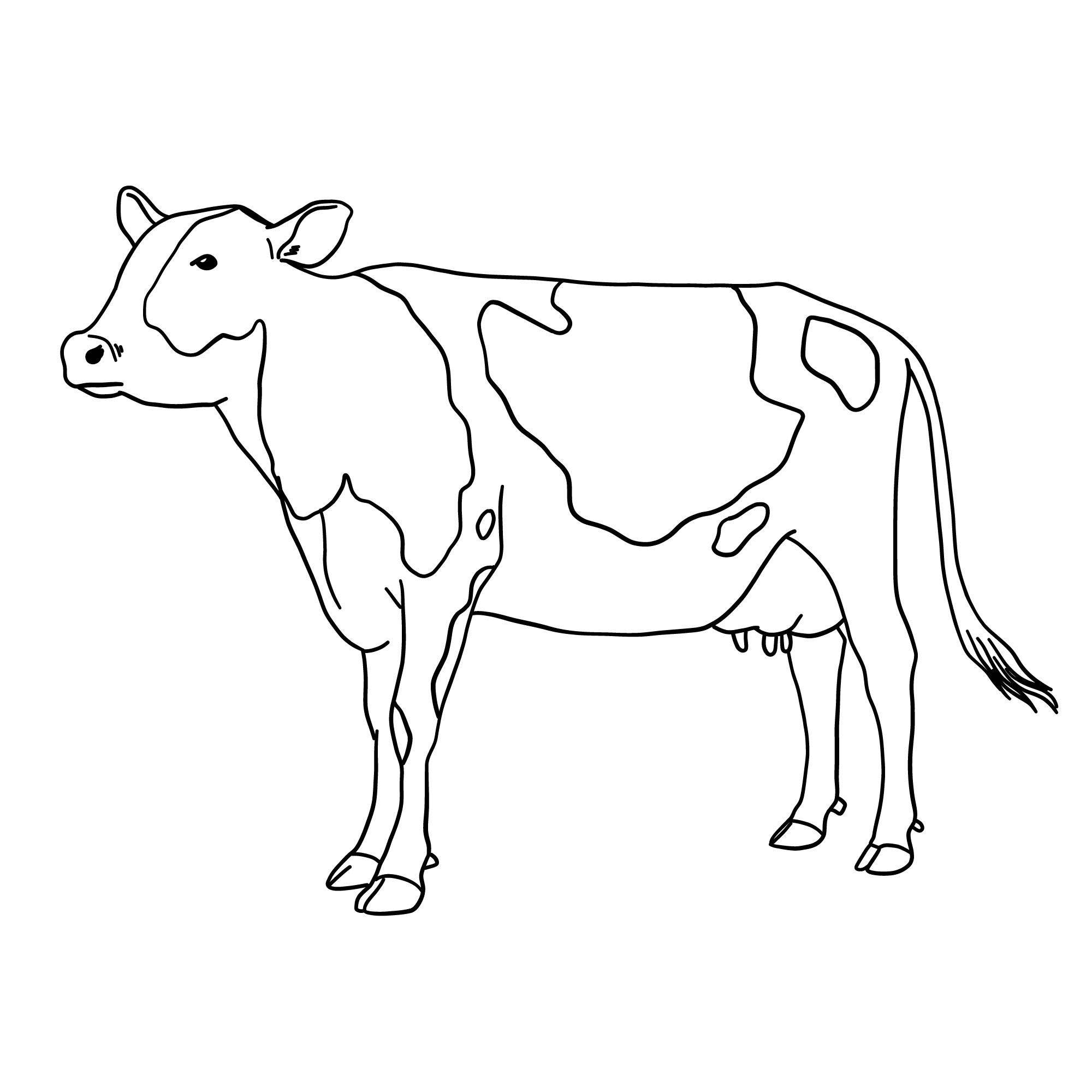 Раскраска для детей: корова Зорька