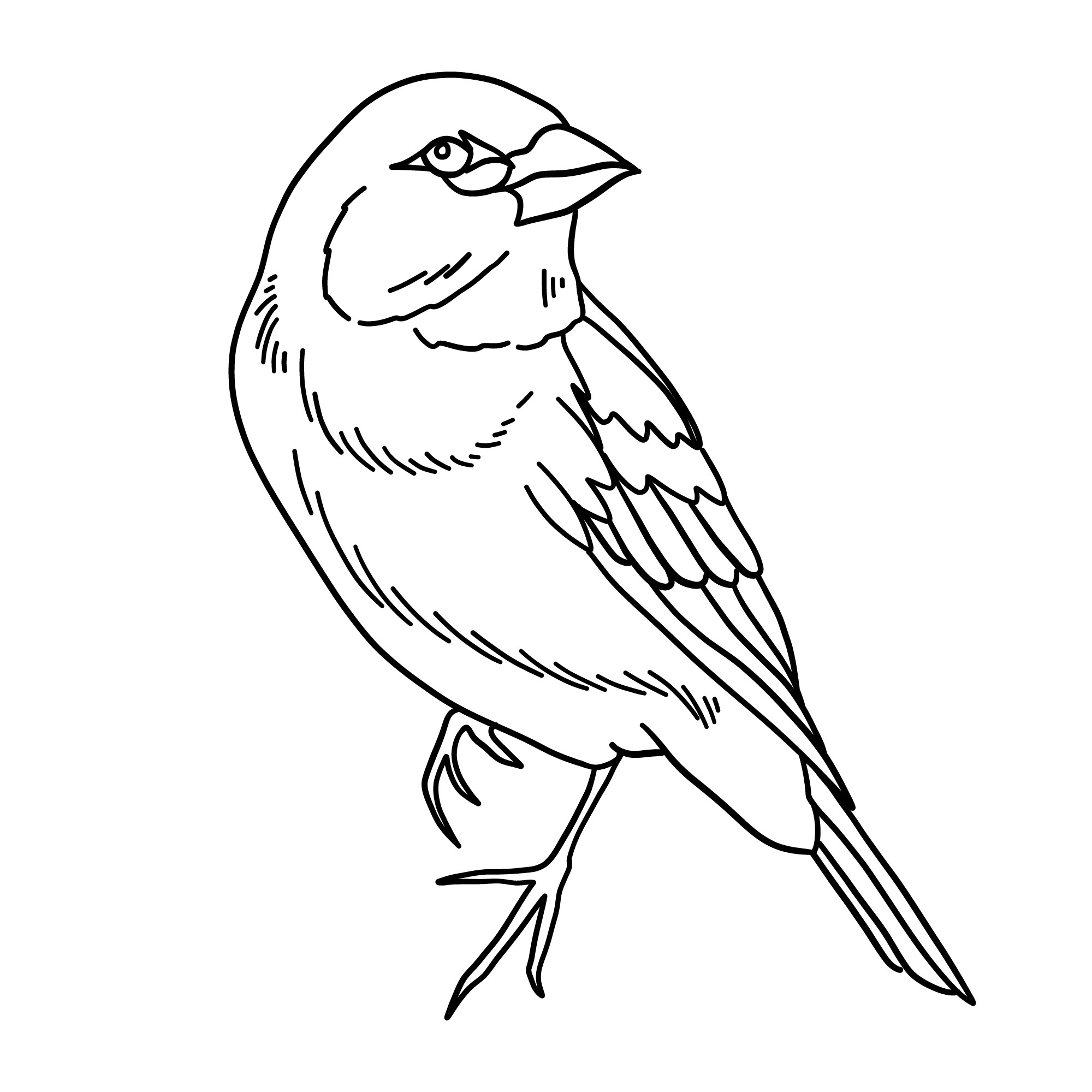 Раскраска для детей: профиль очаровательной птицы