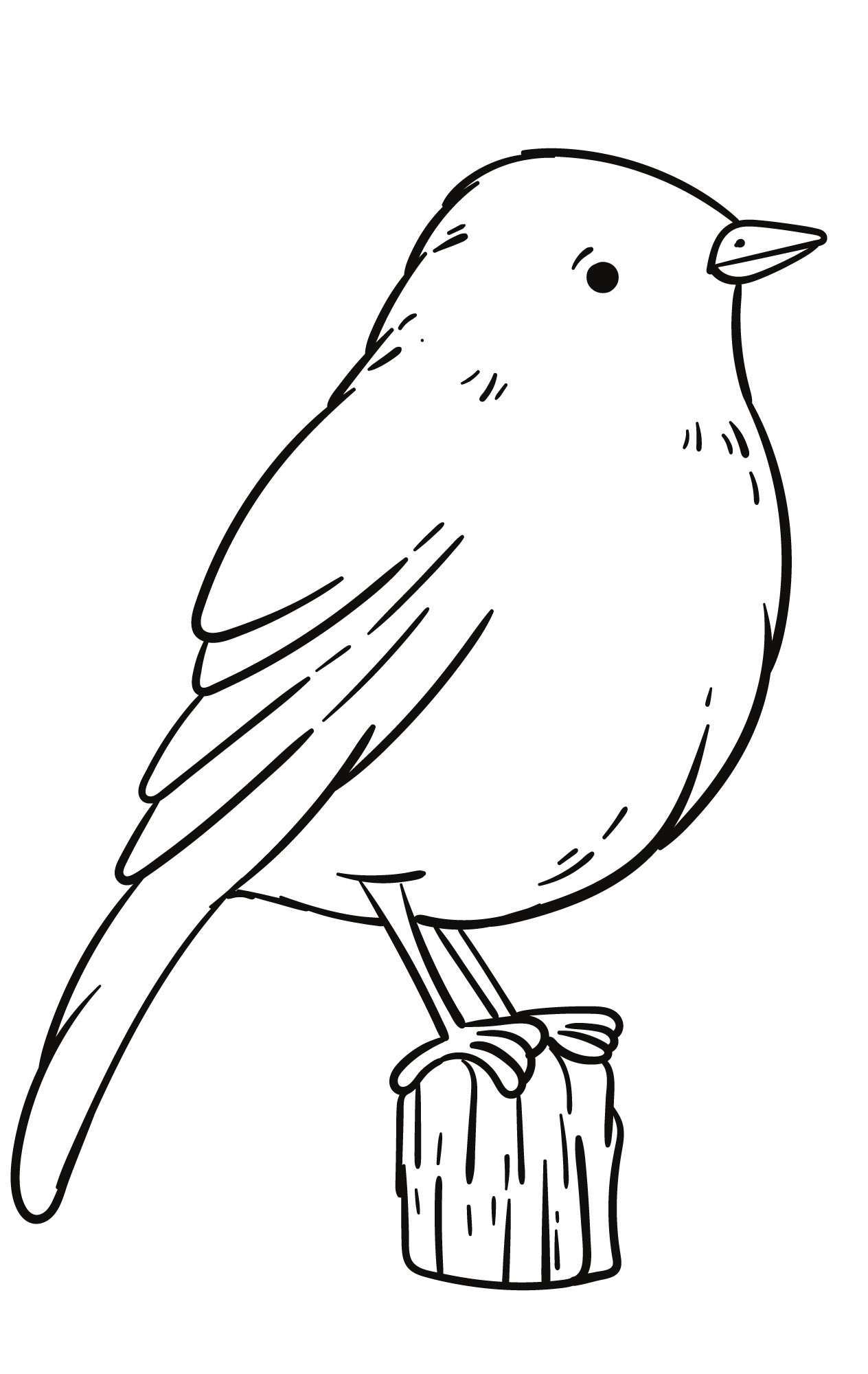 Раскраска для детей: птица на пеньке