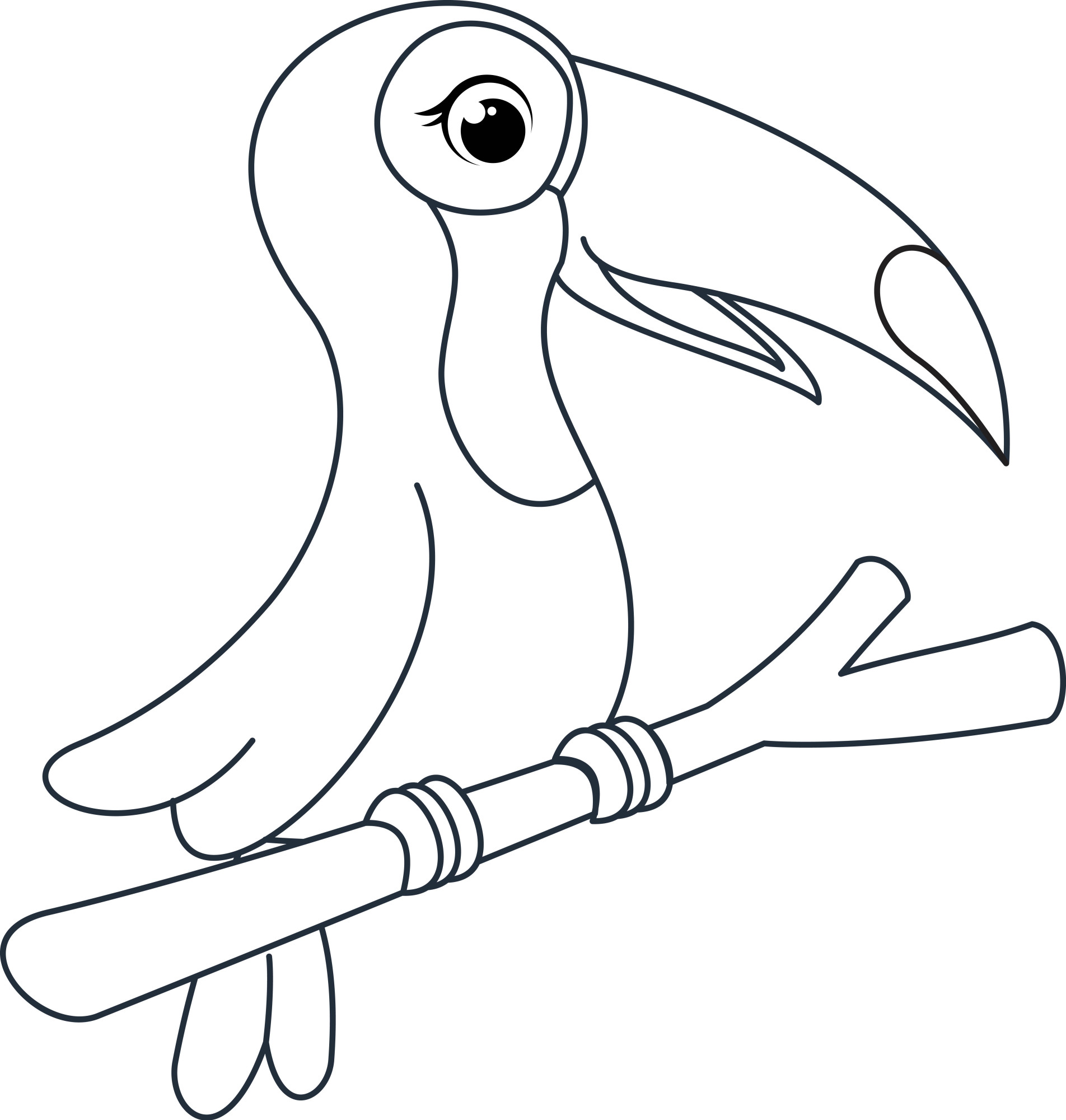 Раскраска для детей: тукан птица