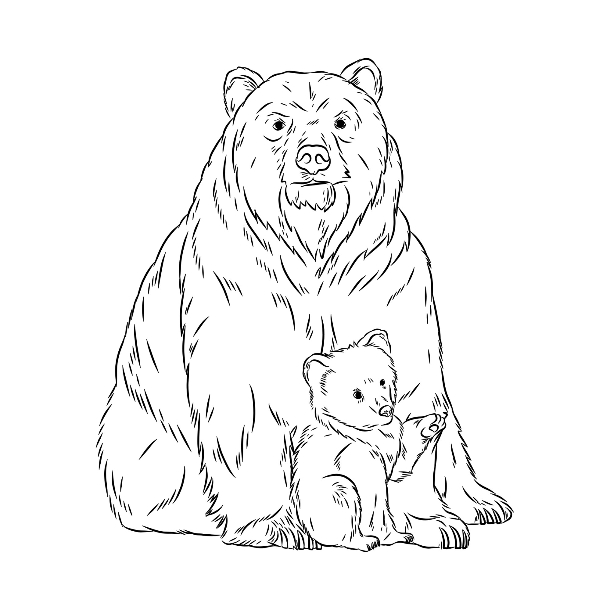 Раскраска для детей: реалистичный медведь сидит с медвежонком