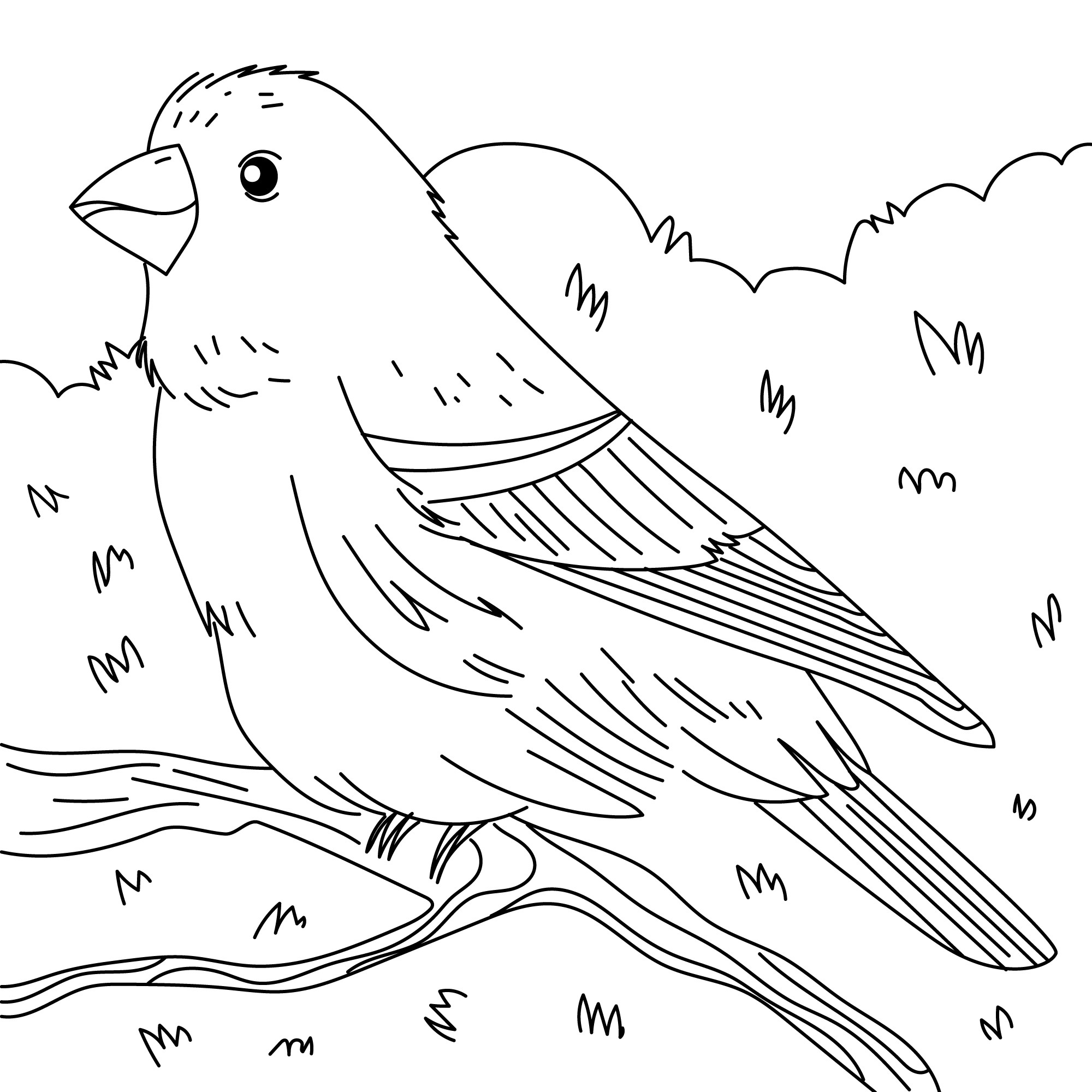 Раскраска для детей: птица на ветке «Легкость крыльев»