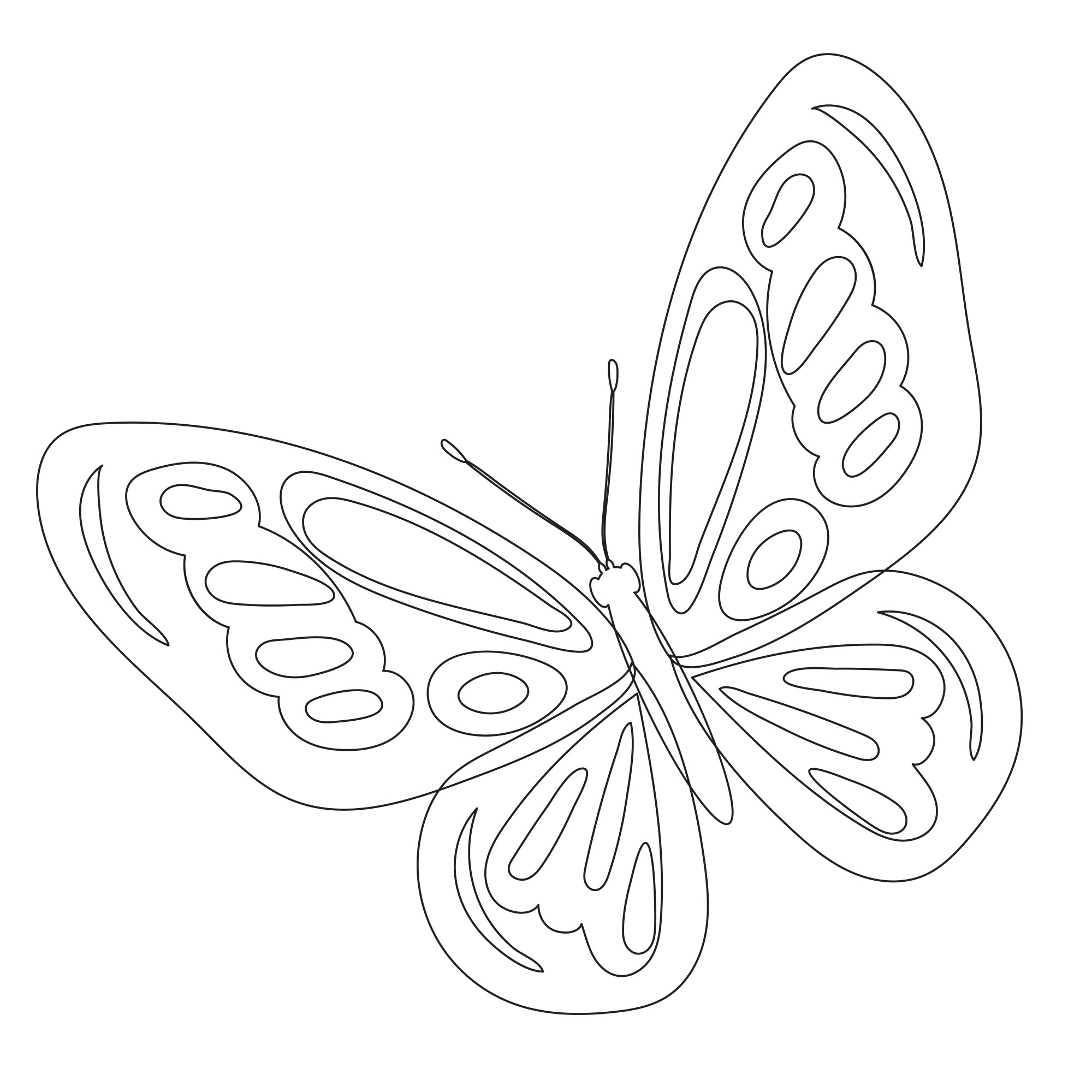 Раскраска для детей: бабочка большая с цветными крыльями