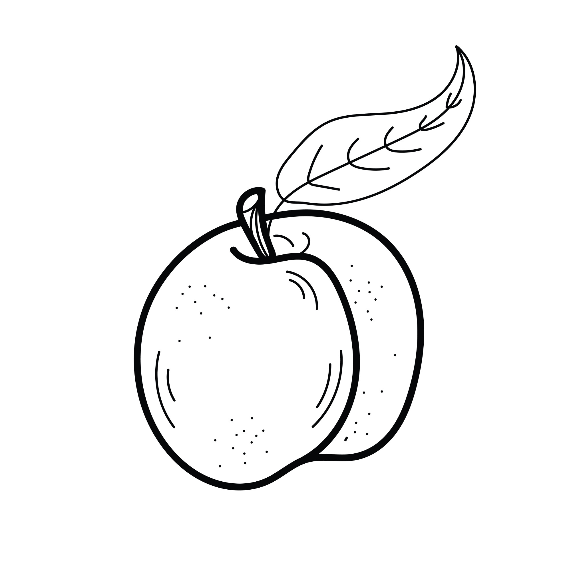 Раскраска для детей: персик с листочком