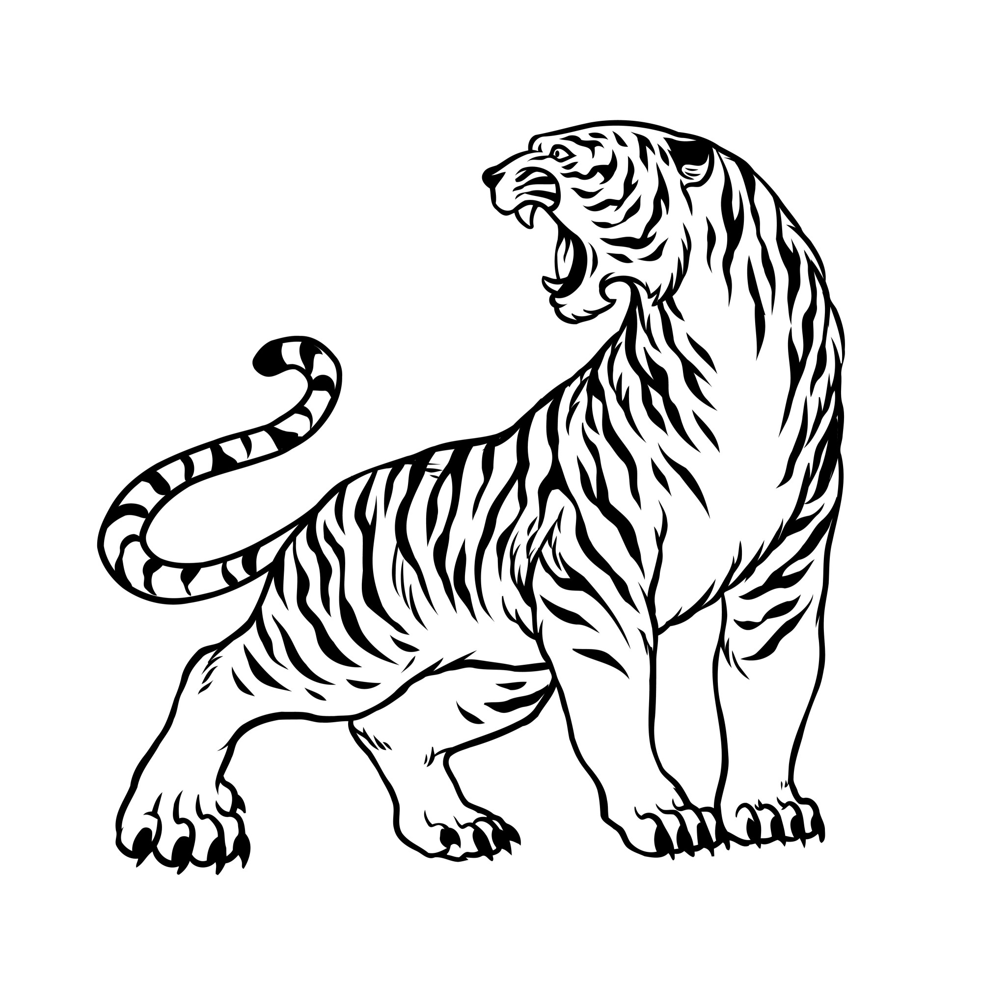 Раскраска для детей: злой тигр с когтями