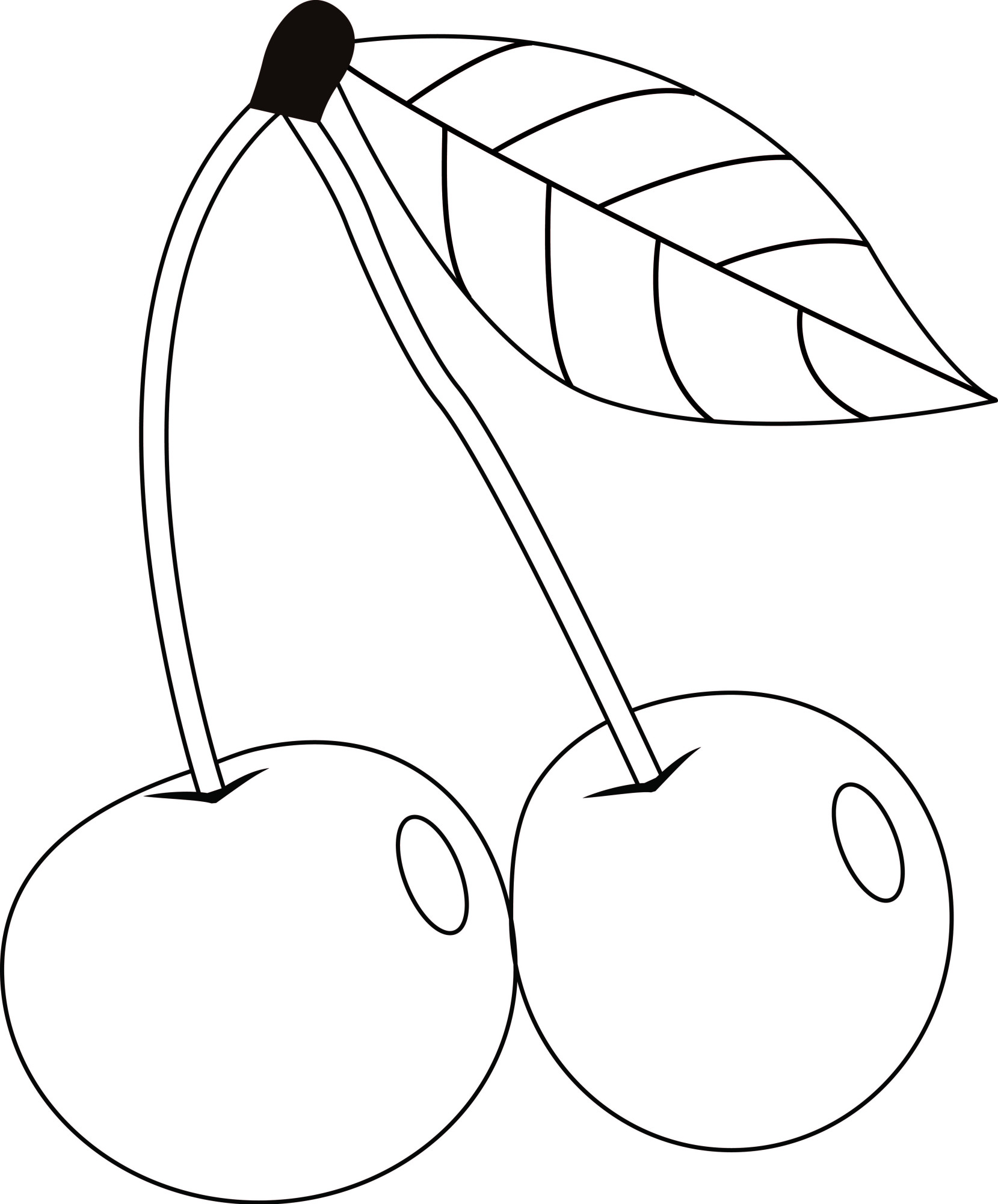 Раскраска для детей: ягоды на веточке дерева вишни