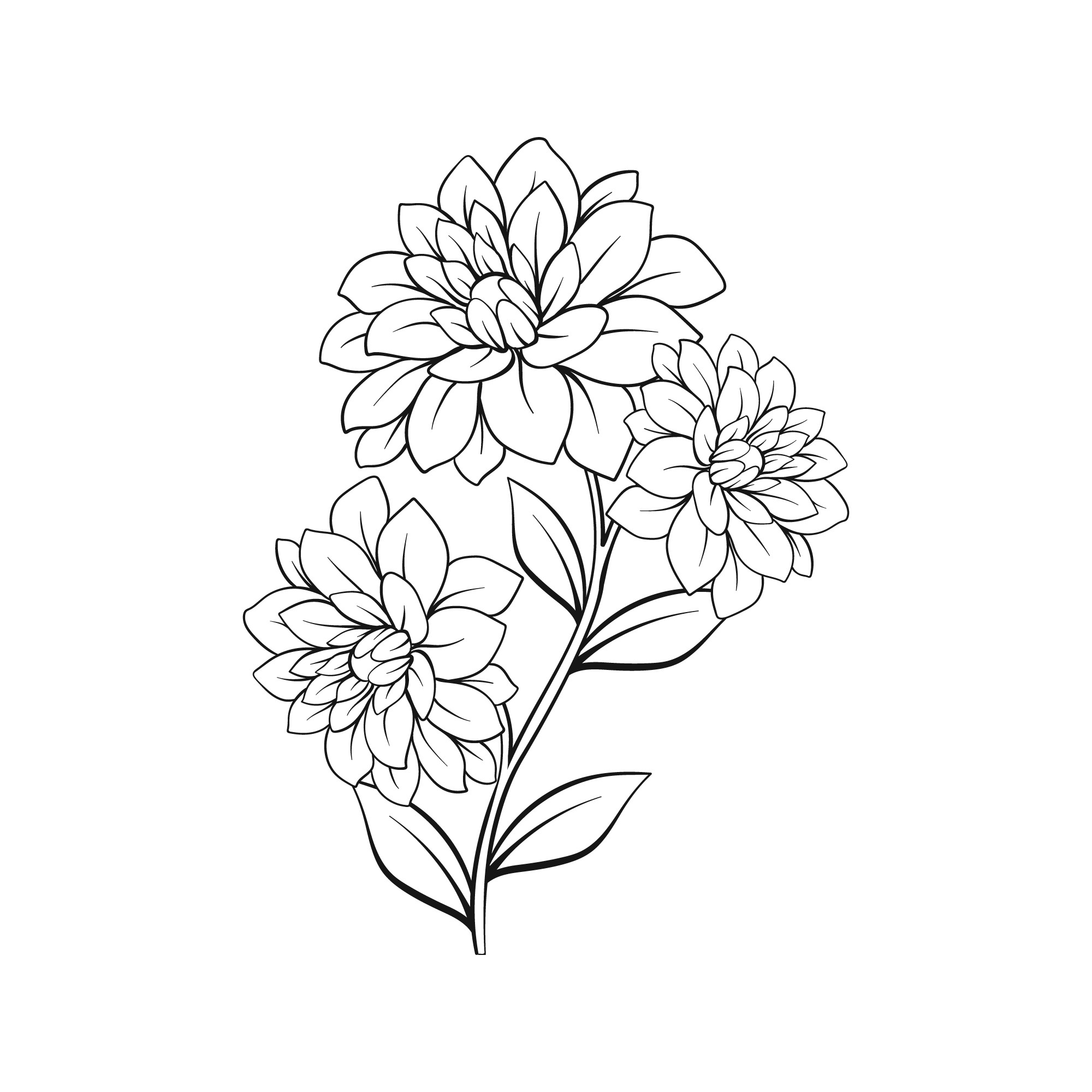Раскраска для детей: изящный цветок георгина