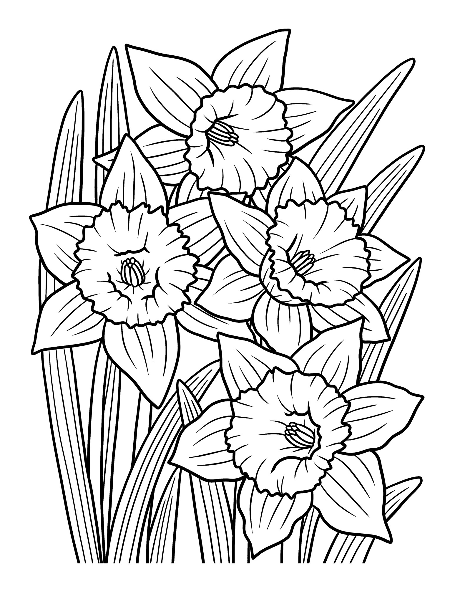 Раскраска для детей: цветок нарцисс