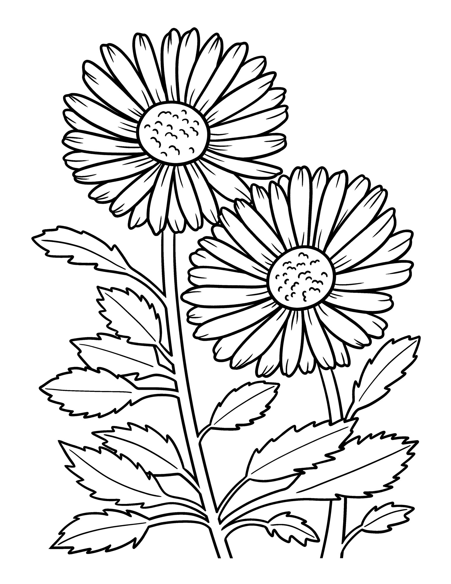 Раскраска для детей: цветок ромашки и стебли