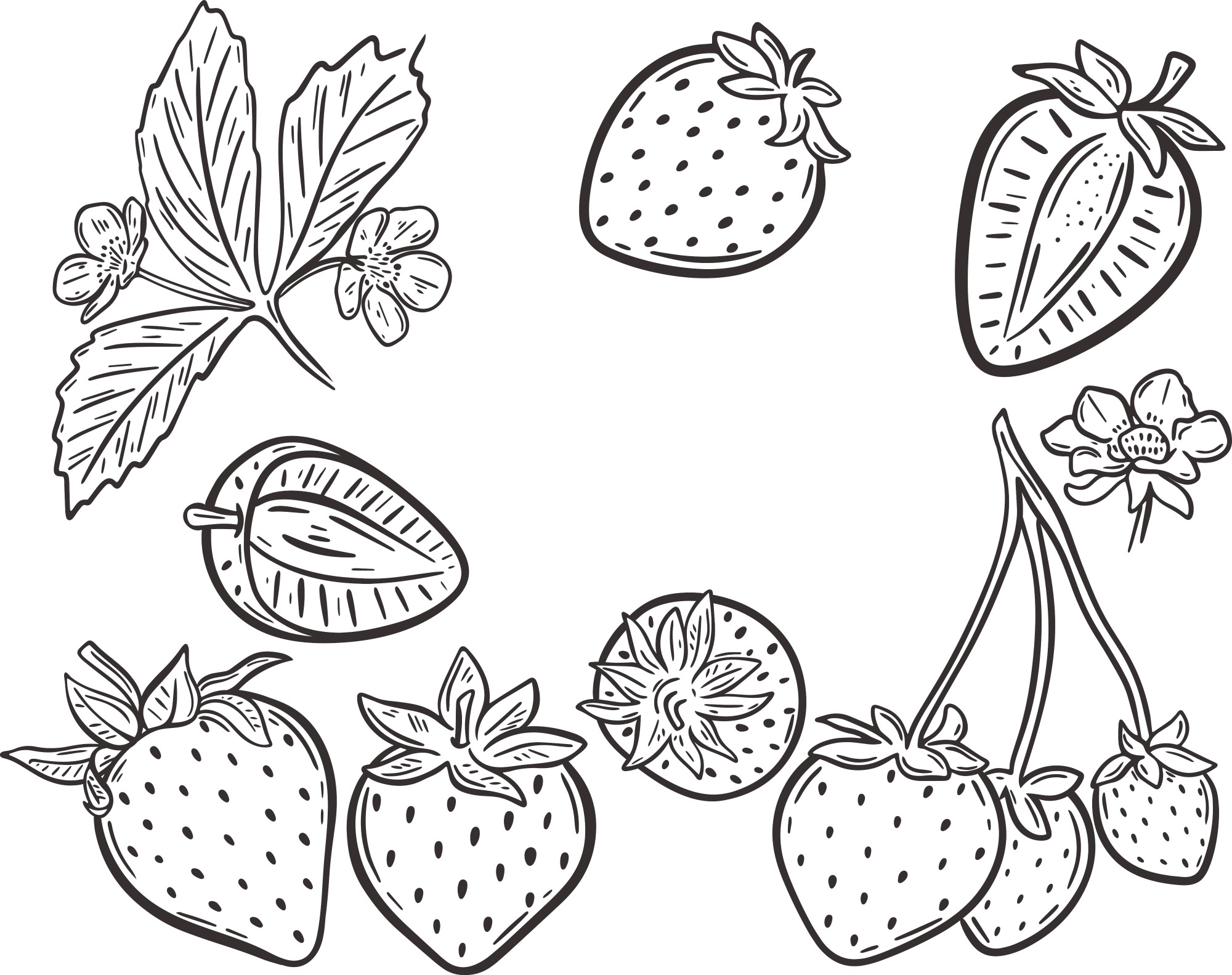 Раскраска для детей: ягоды земляники