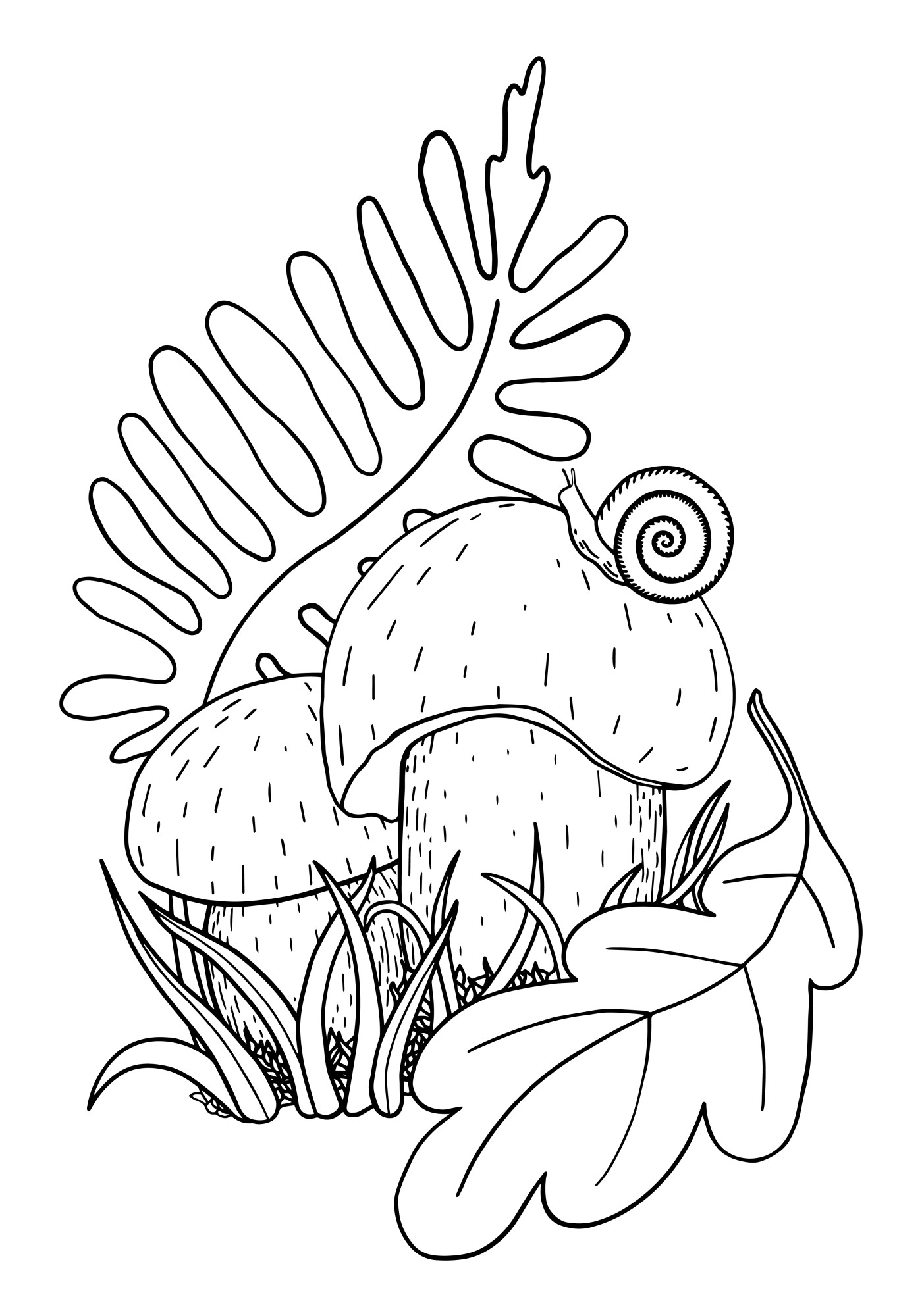 Раскраска для детей: съедобный гриб боровик с улиткой и листиками