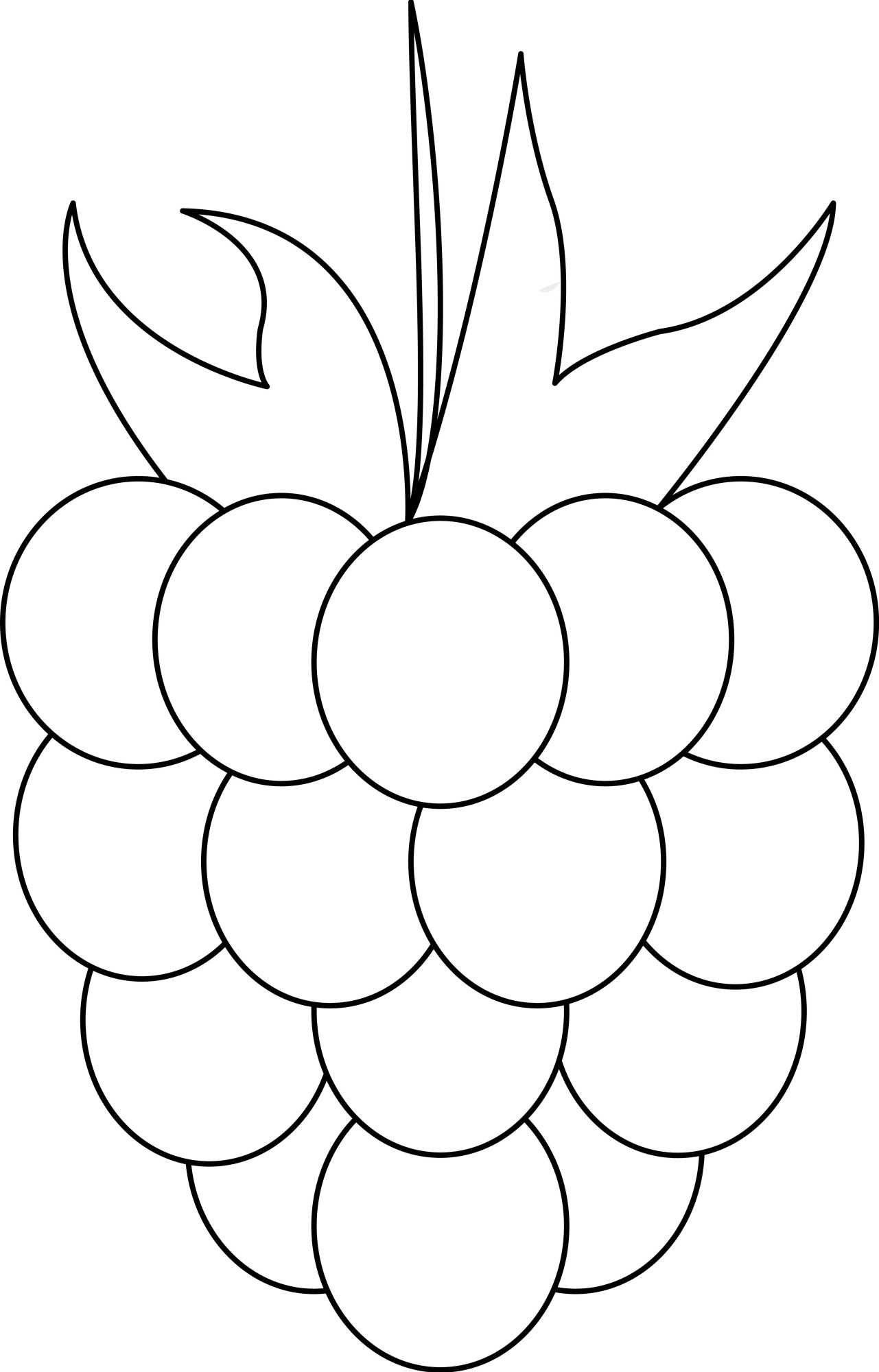 Раскраска для детей: ягода малина крупным планом