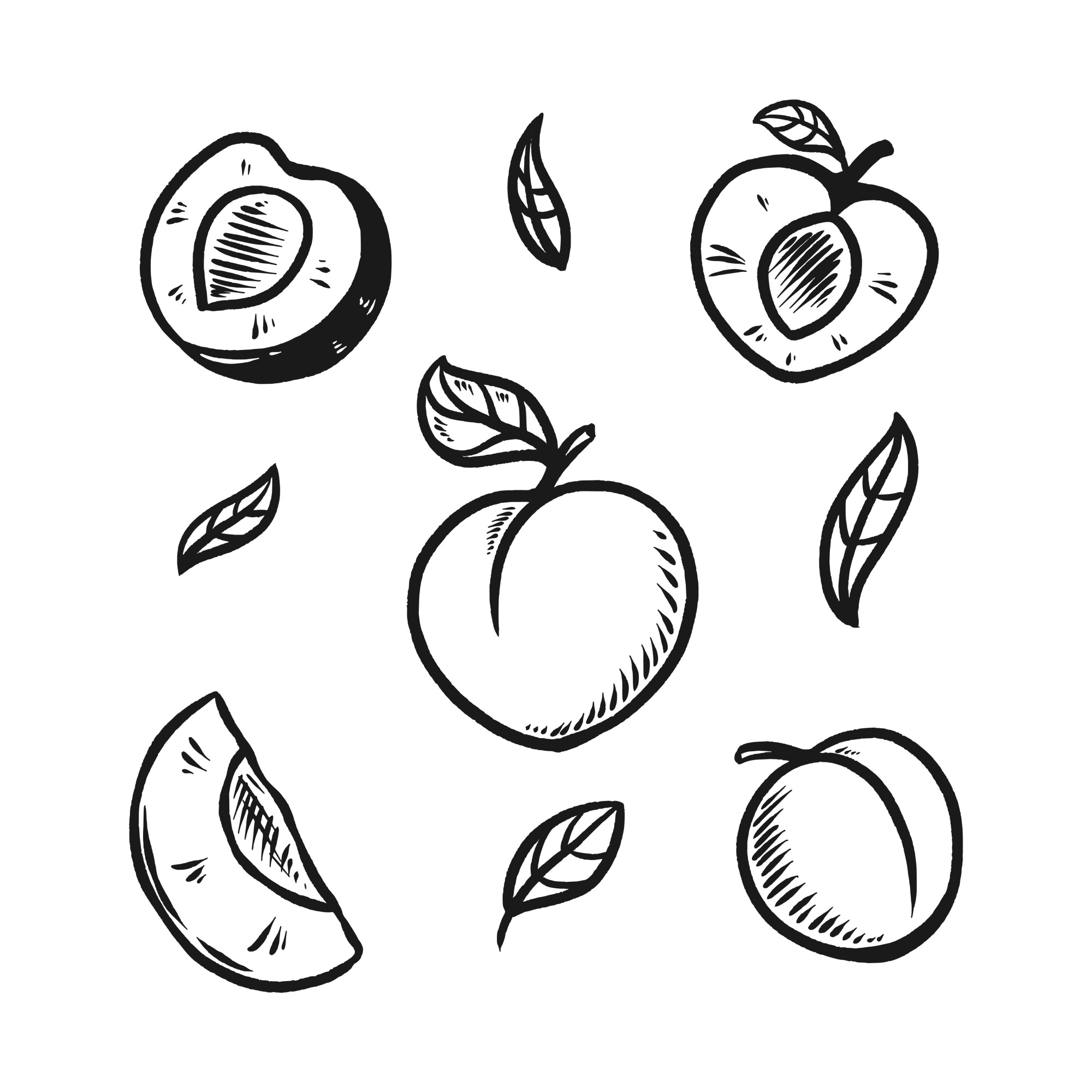 Раскраска для детей: набор персиков с дольками и половинками