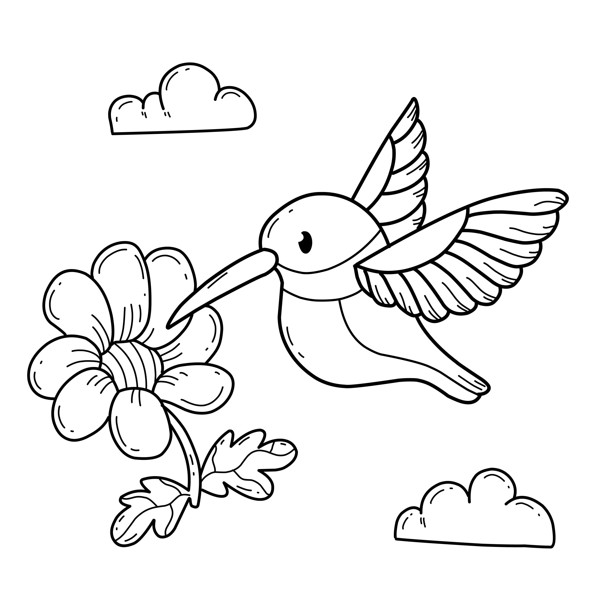 Раскраска для детей: птица колибри с цветком