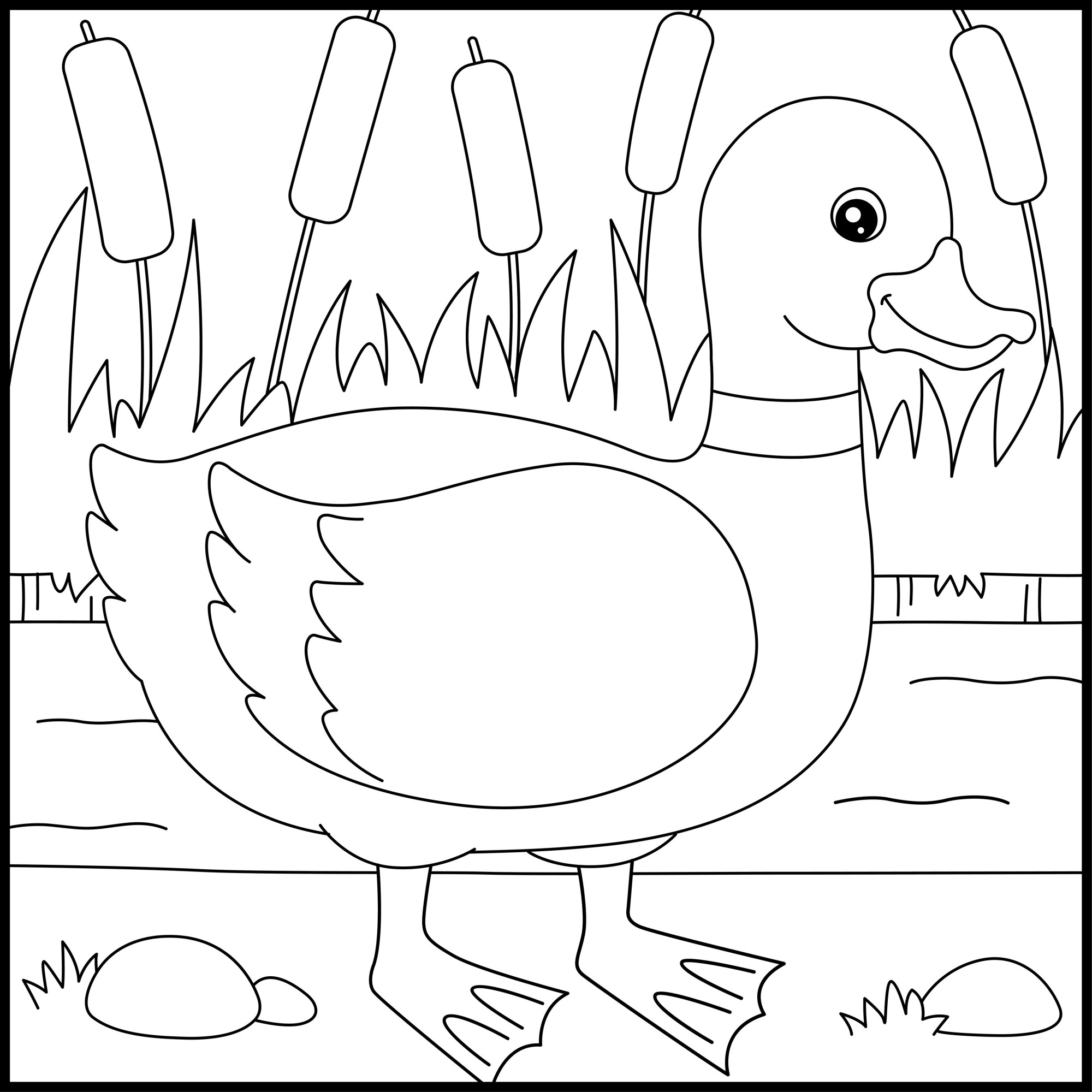 Раскраска для детей: утка в пруду