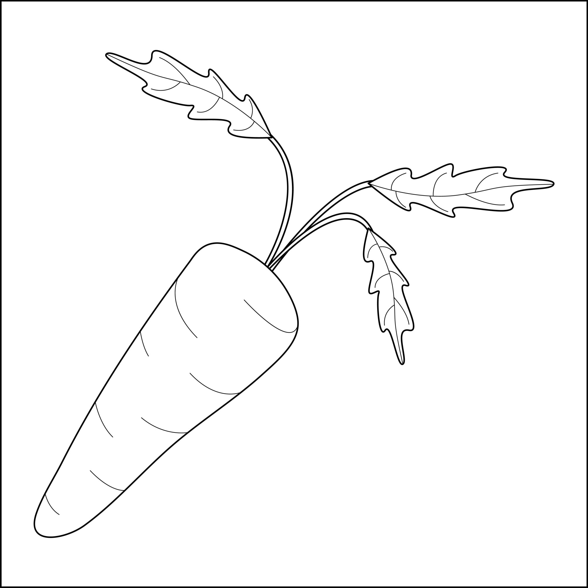 Раскраска для детей: полезная морковь источник бета-каротина