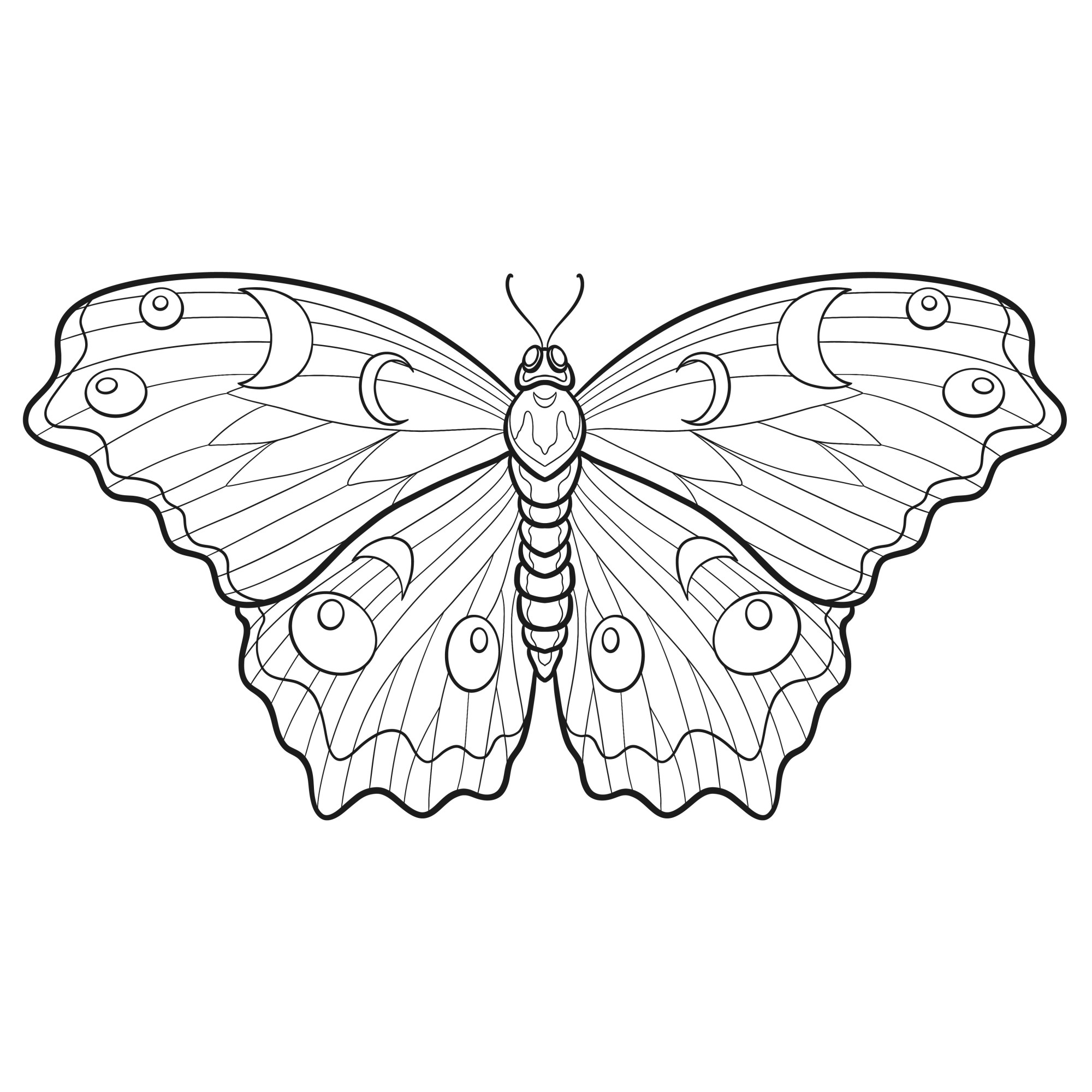 Раскраска для детей: бабочка сказочная