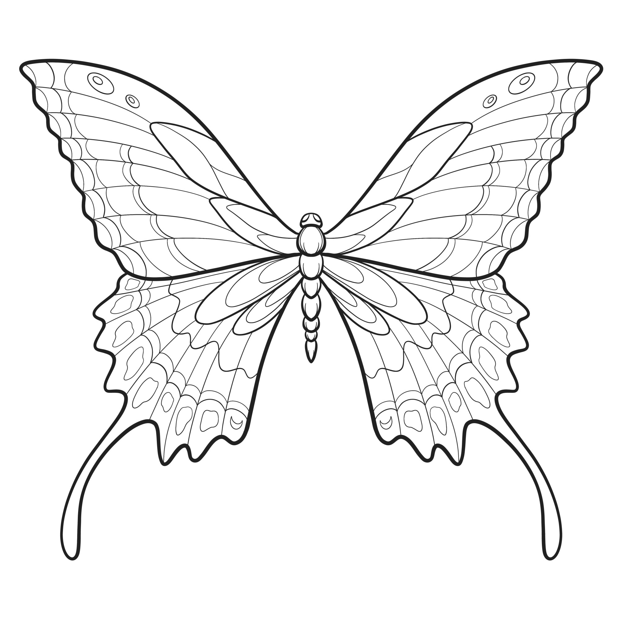 Раскраска для детей: бабочка с расправленными радужными крыльями