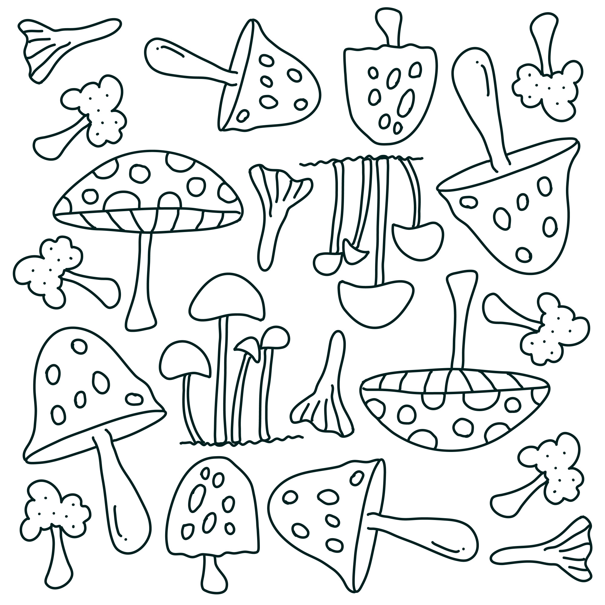 Раскраска для детей: коллекция несъедобных грибов
