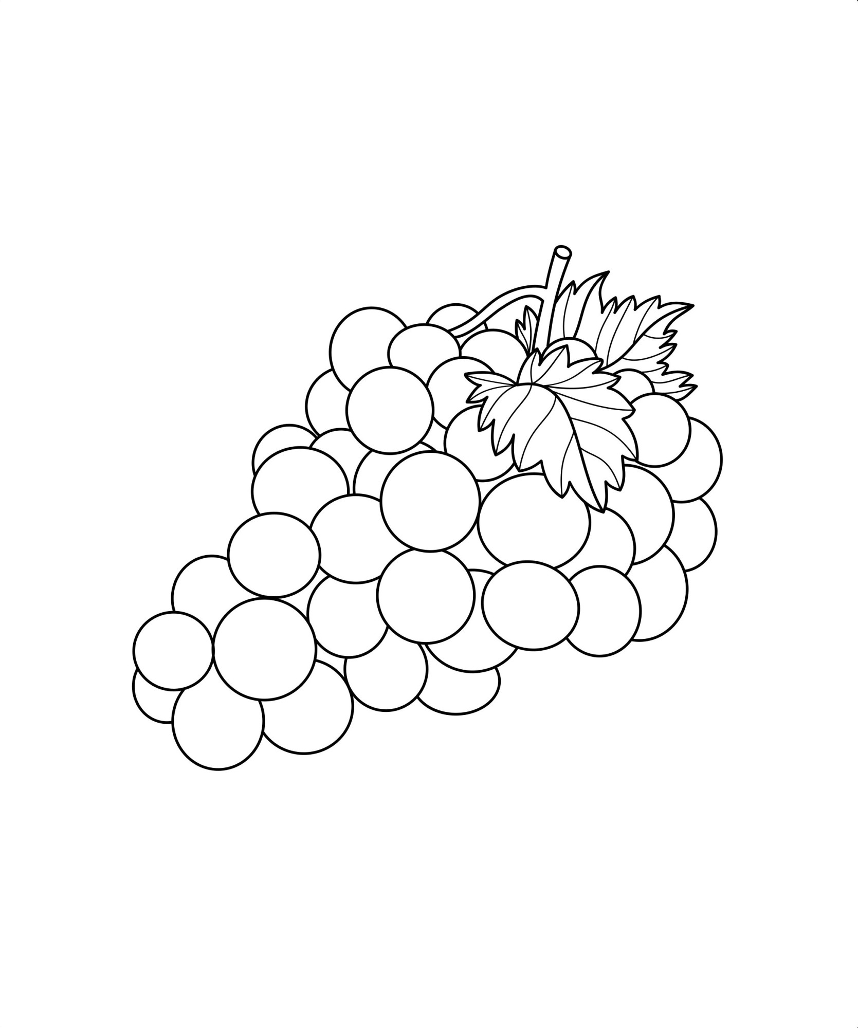 Раскраска для детей: виноград с листьями