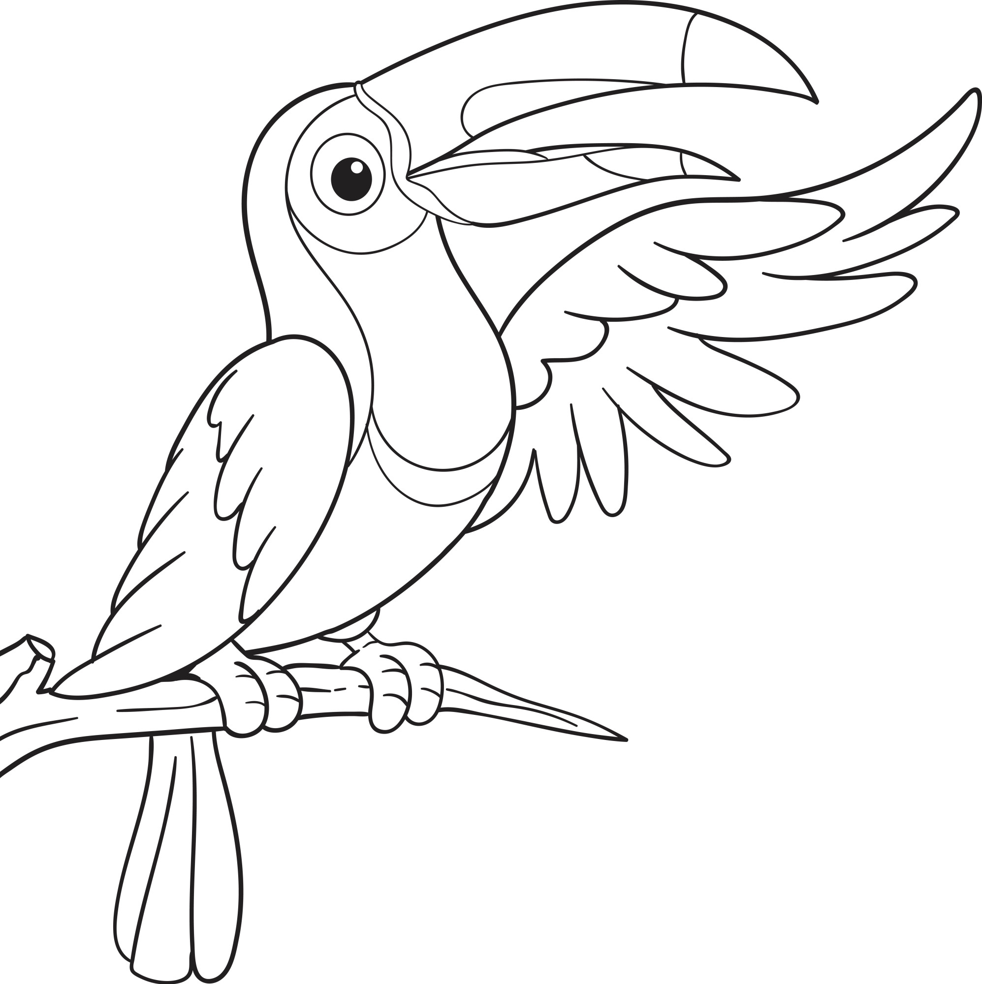 Раскраска для детей: тукан птица с большим клювом