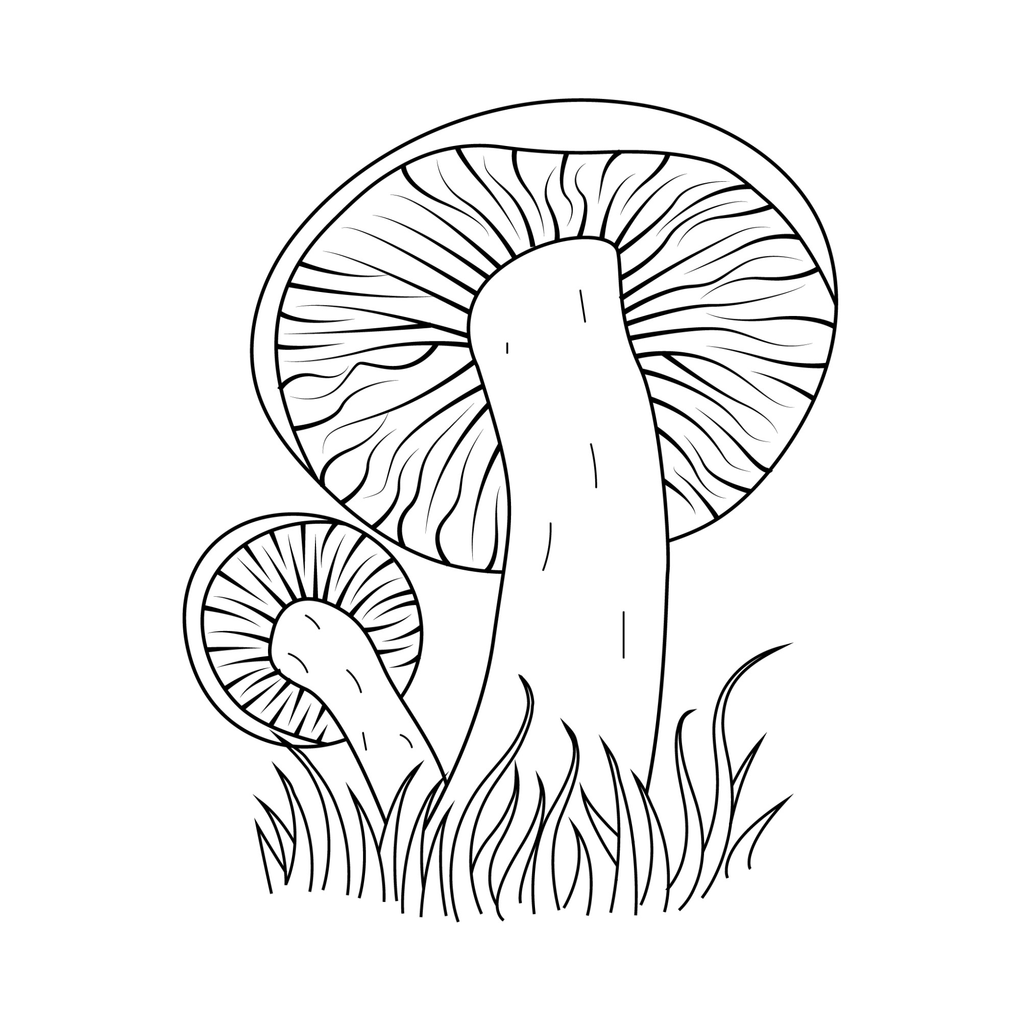 Раскраска для детей: гриб подосиновик