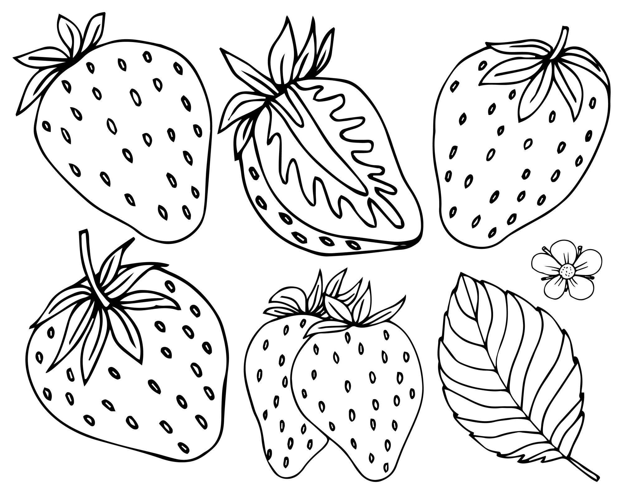 Раскраска для детей: набор ягод клубники с половинкой и листиком