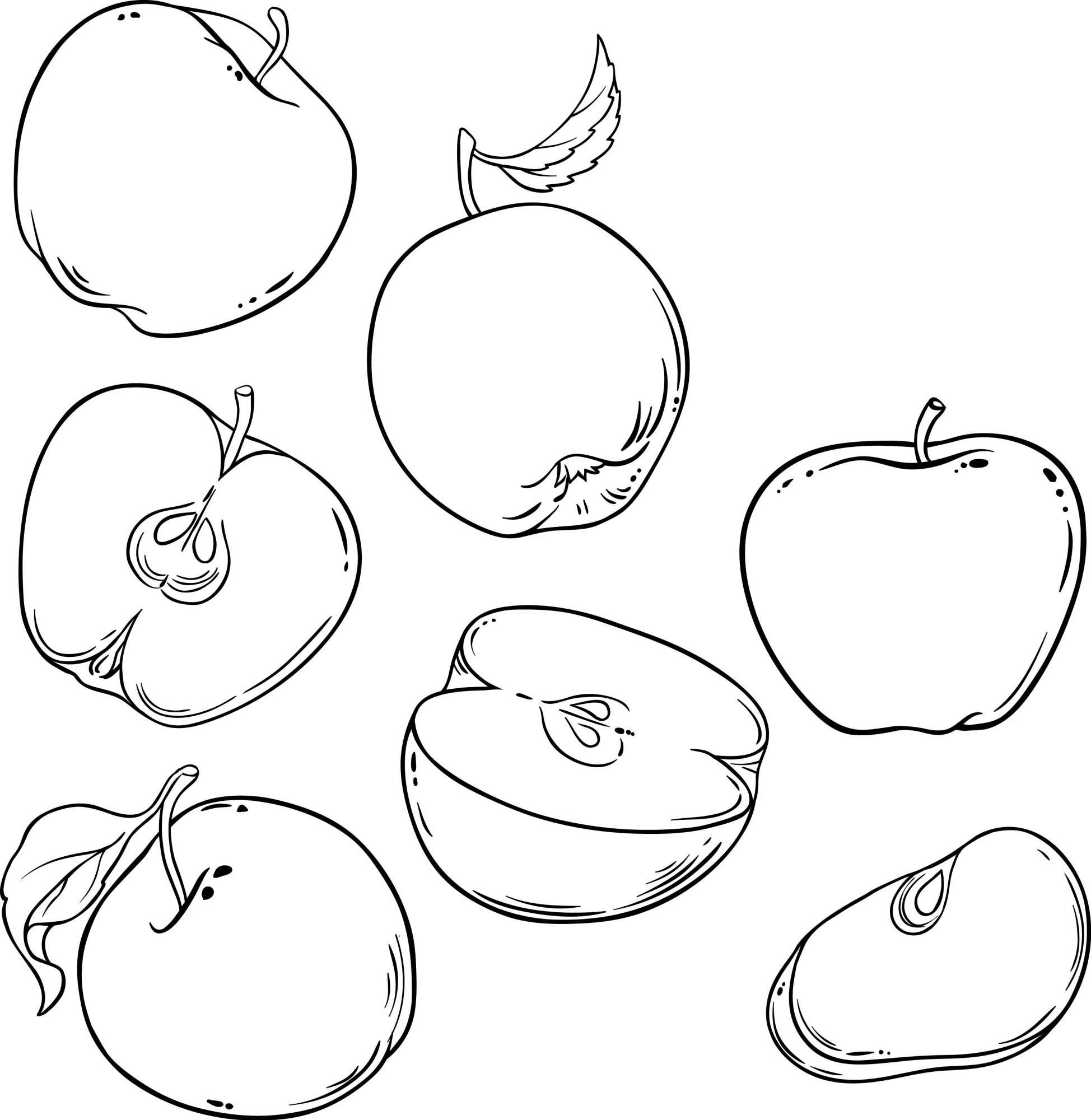 Раскраска для детей: набор свежих яблок с половинками