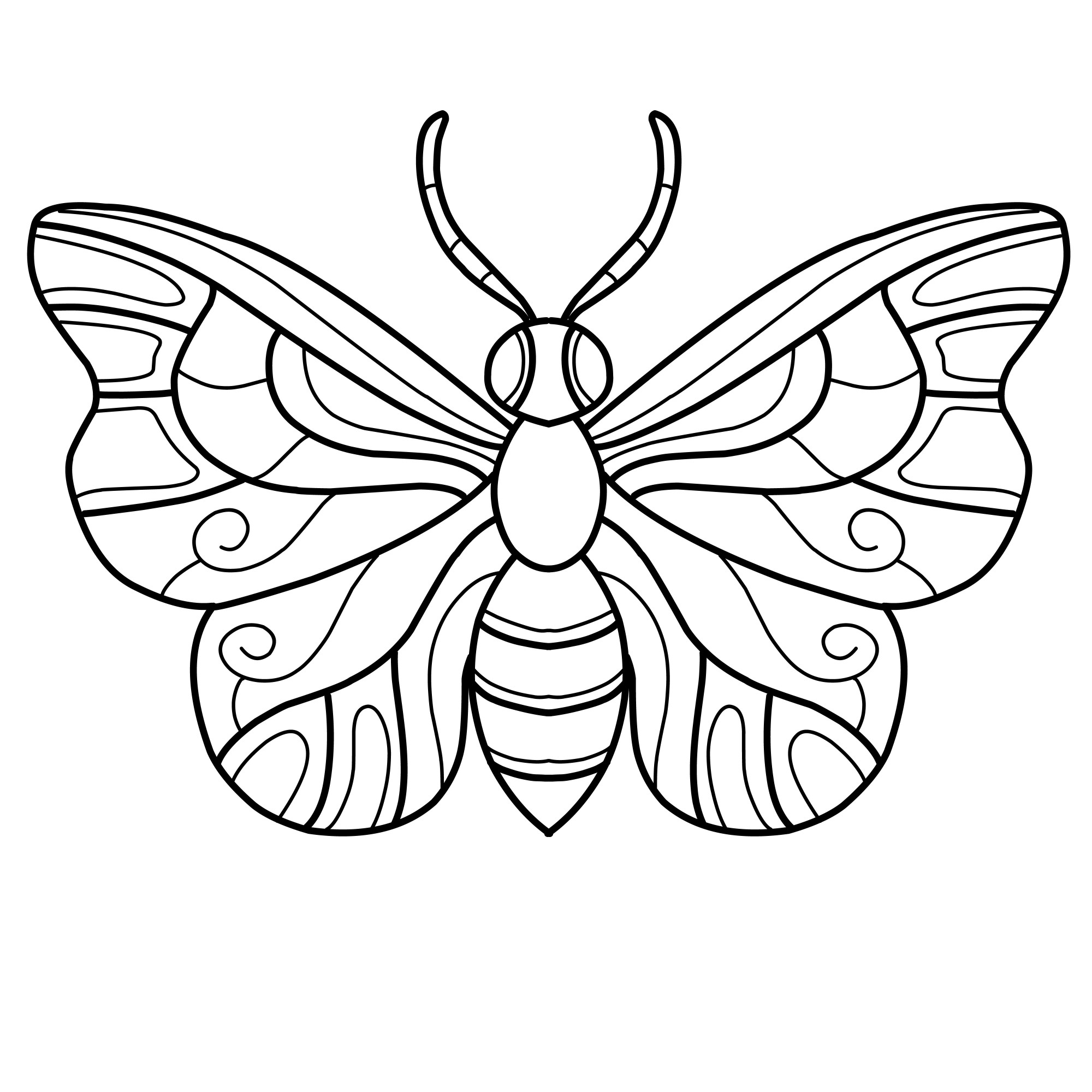 Раскраска для детей: насекомое бабочка с большими усиками